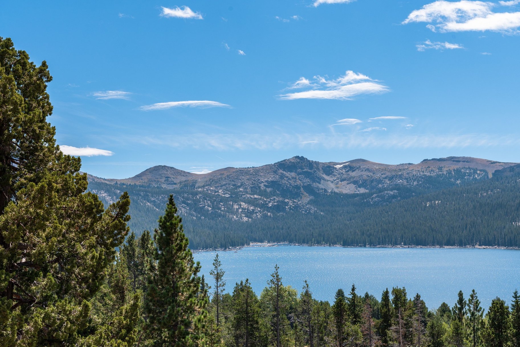  The Juniper Cabin: A Wild Invitation to See the World Differently - 物件實景