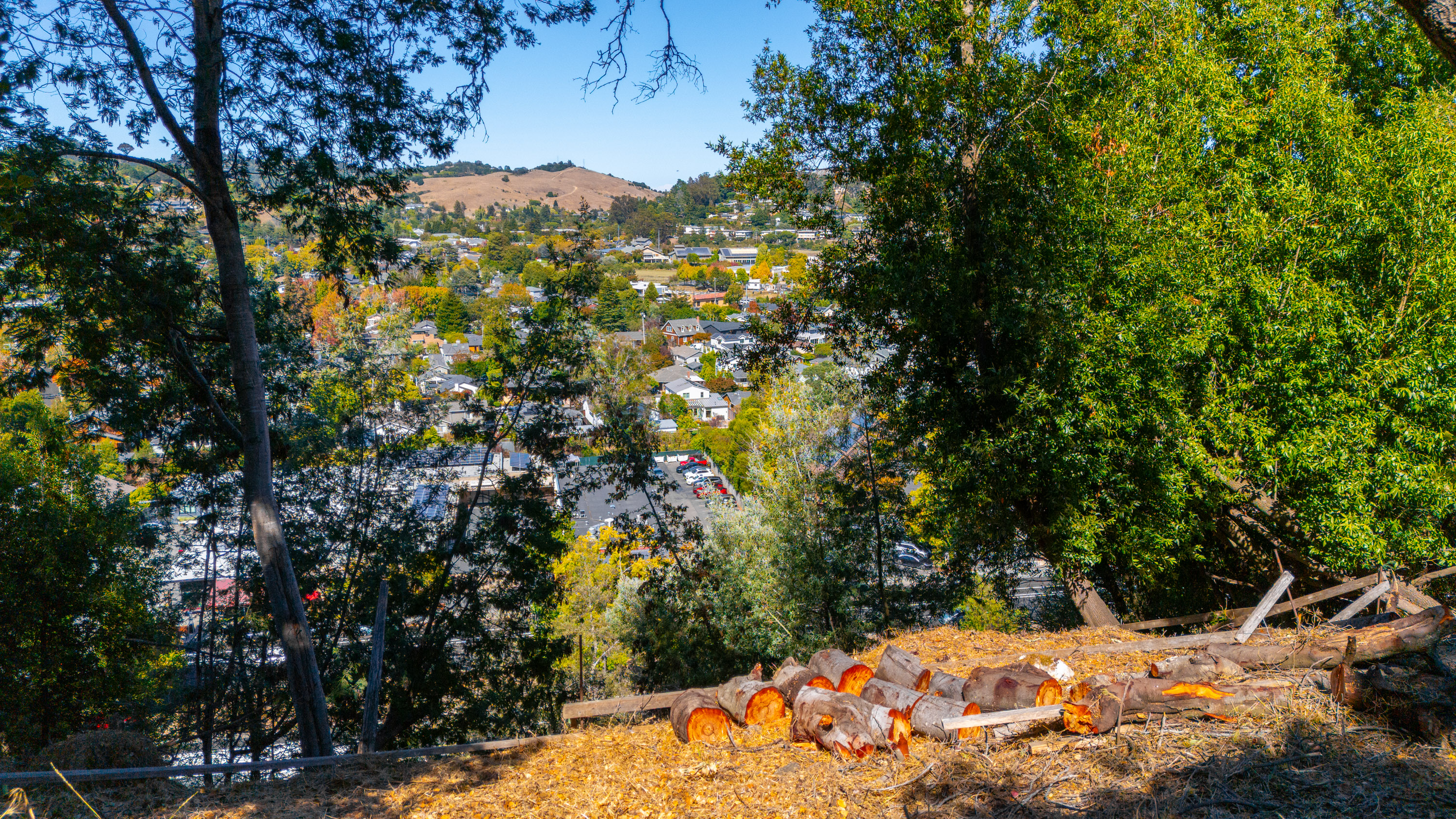  Exceptional Mill Valley Lot with Expired Approved Plans - 物件實景