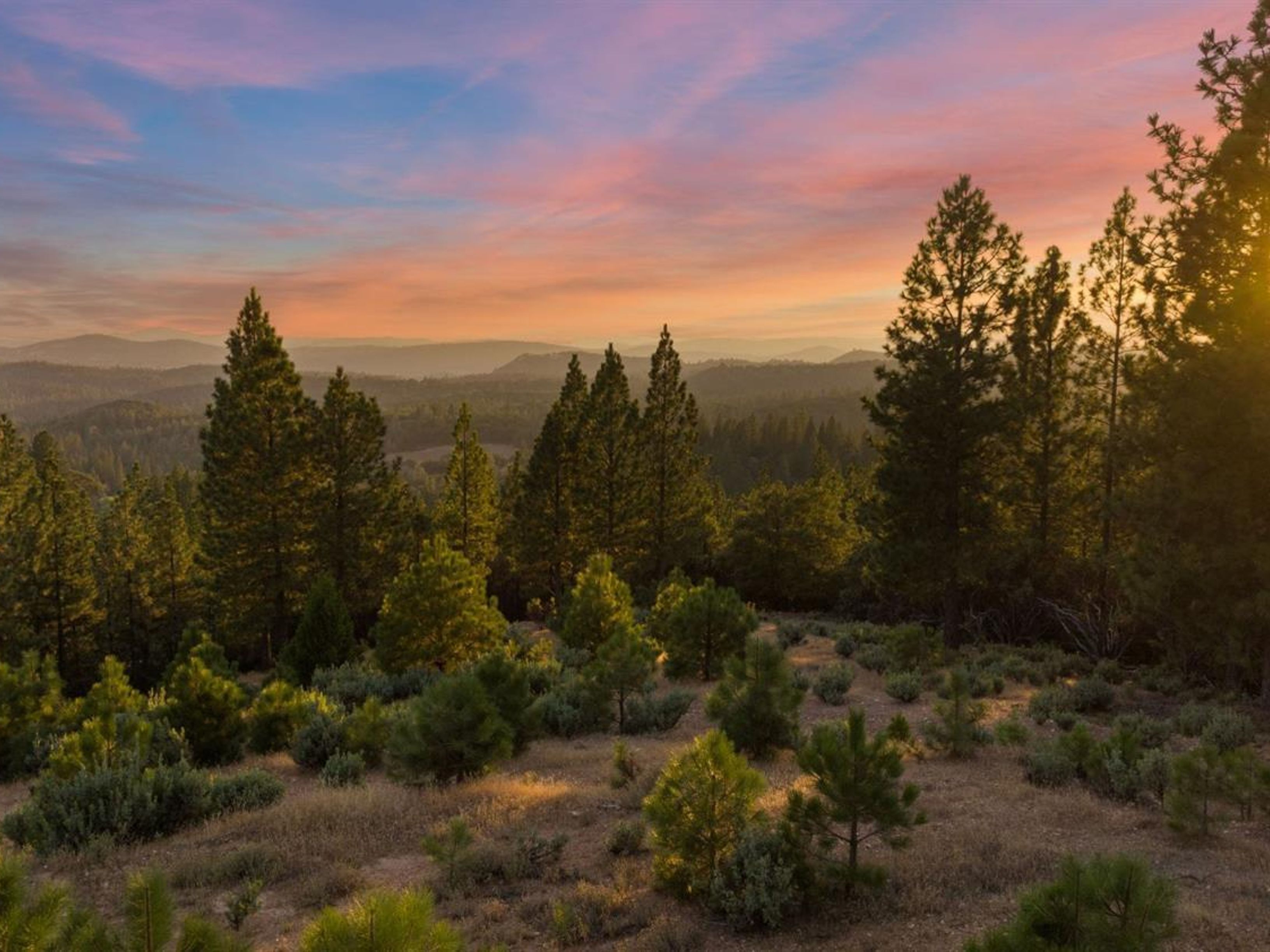  5915 Traverse Creek Road, Garden Valley, CA 95633 - 物件實景