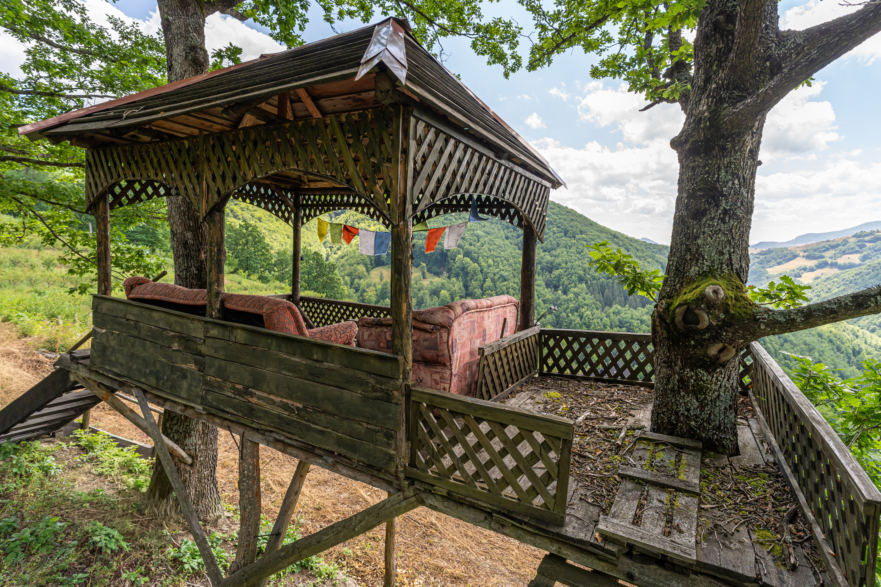  Versatile 22-Hectare Private Estate - Forested Heart of the Apuseni Mountains - 物件實景
