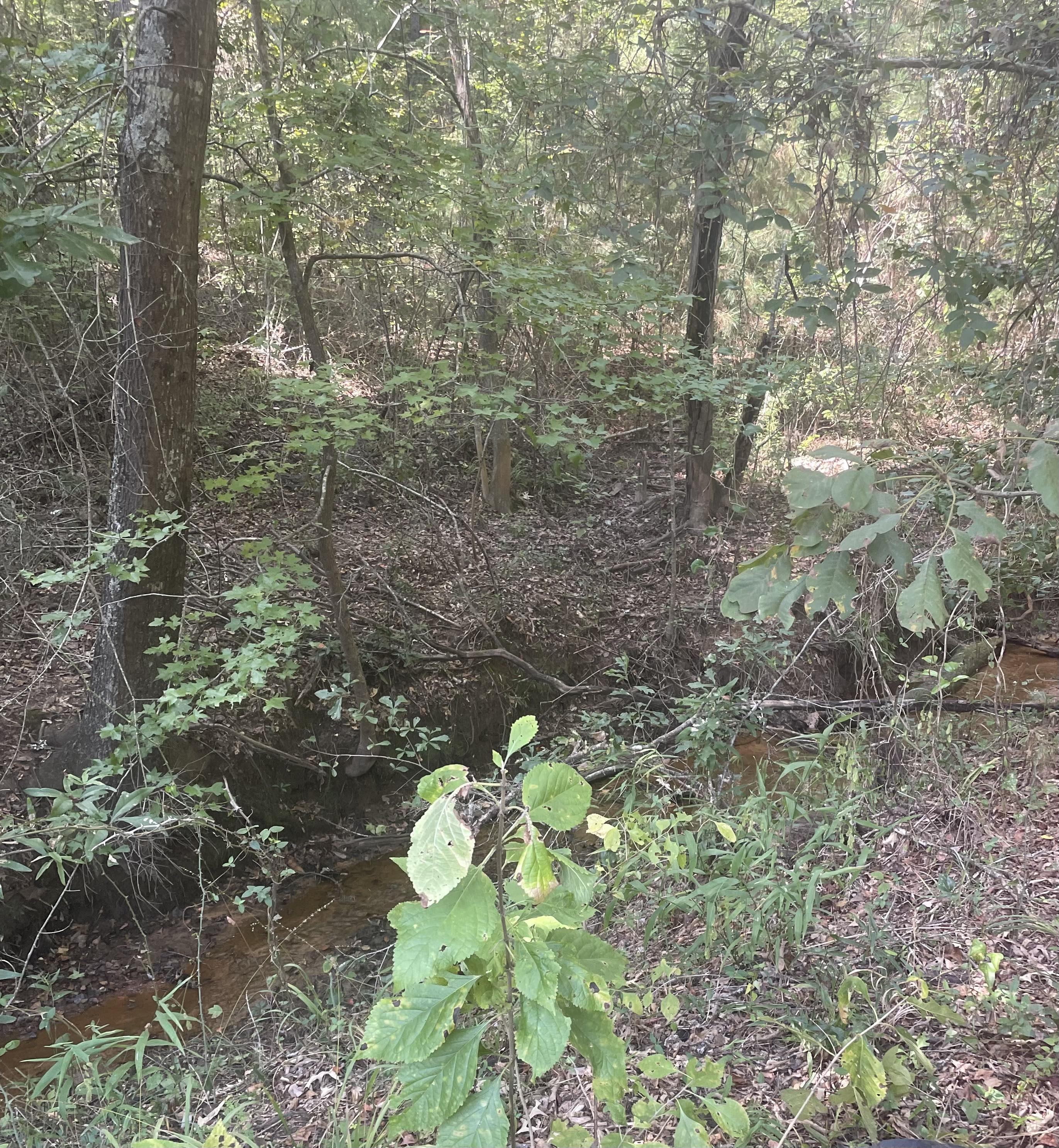 Jacksonville, Texas, 75766, United States, 4 Bedrooms Bedrooms, ,2 BathroomsBathrooms,Residential,For Sale,1974888