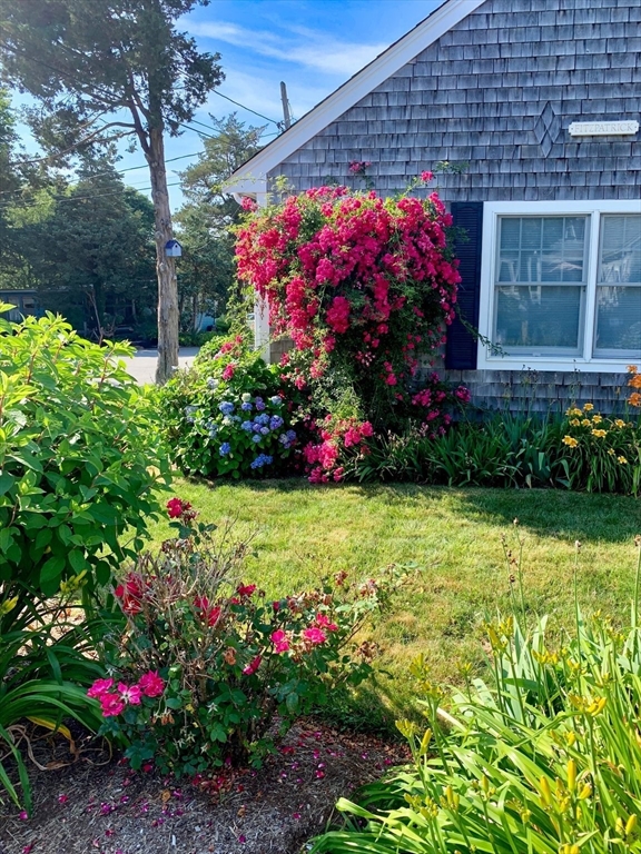 Bourne, Massachusetts, 02559, United States, 2 Bedrooms Bedrooms, ,2 BathroomsBathrooms,Residential,For Sale,1921886