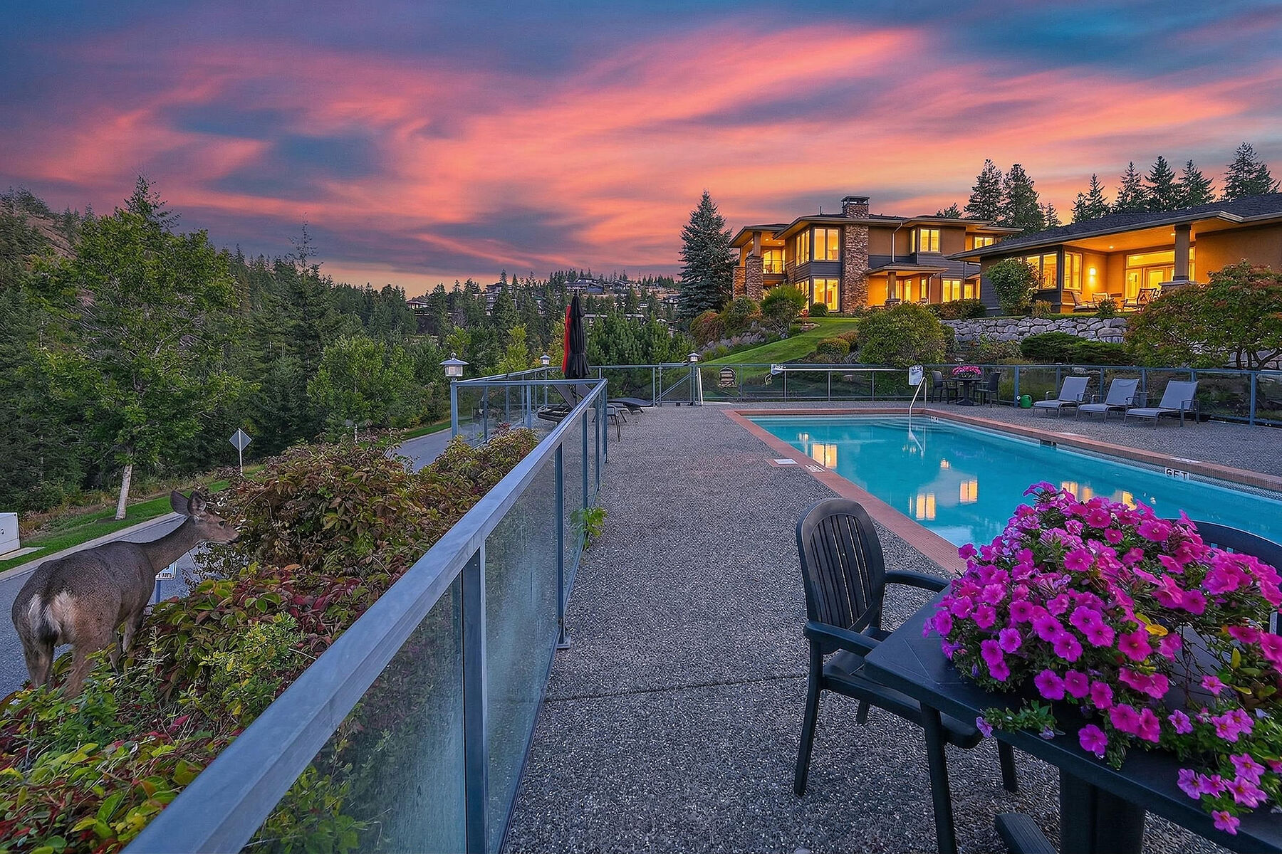  Predator Ridge Lifestyle - 物件實景