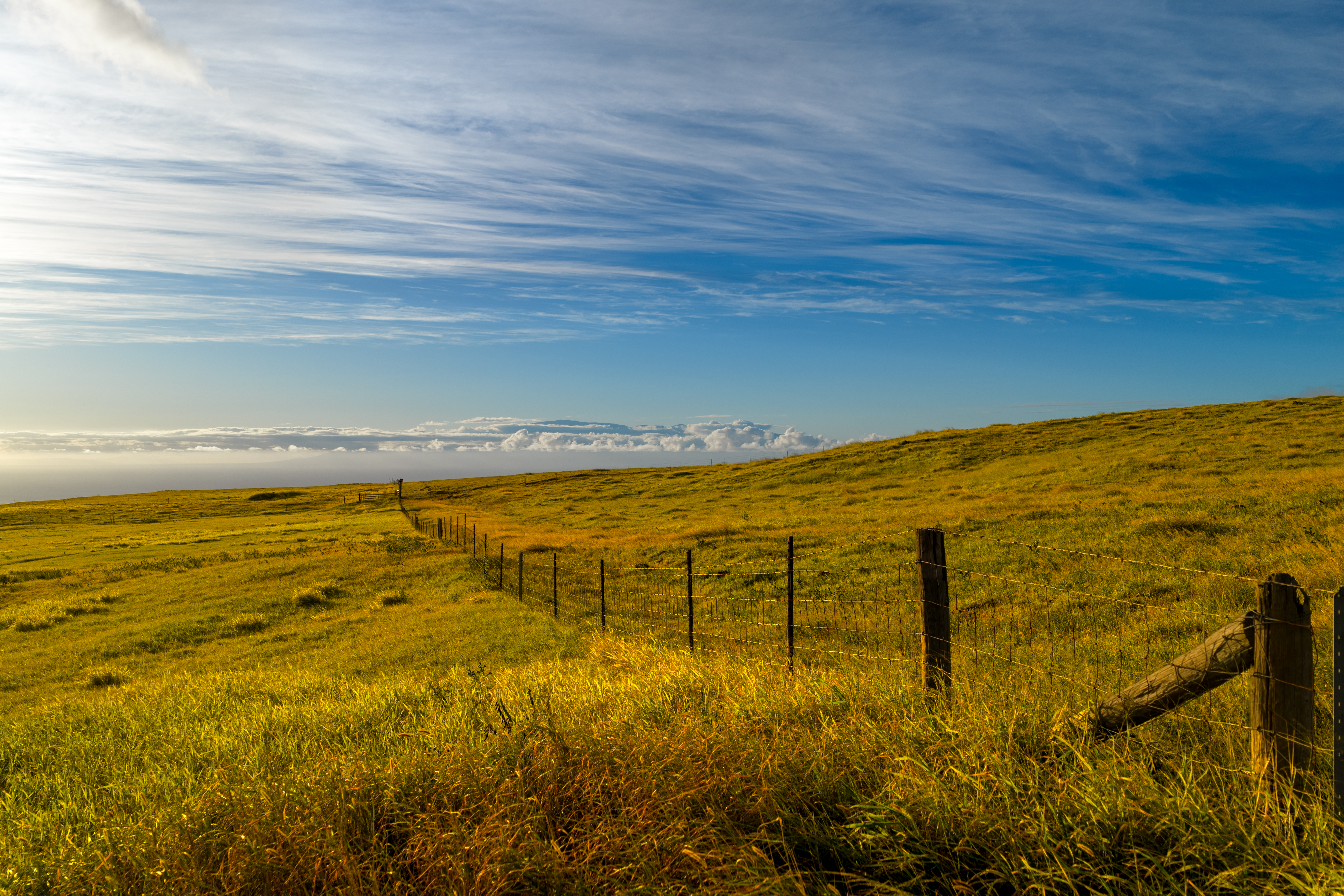  695 Ualani Pl, Kamuela, HI, 96743 - 物件實景