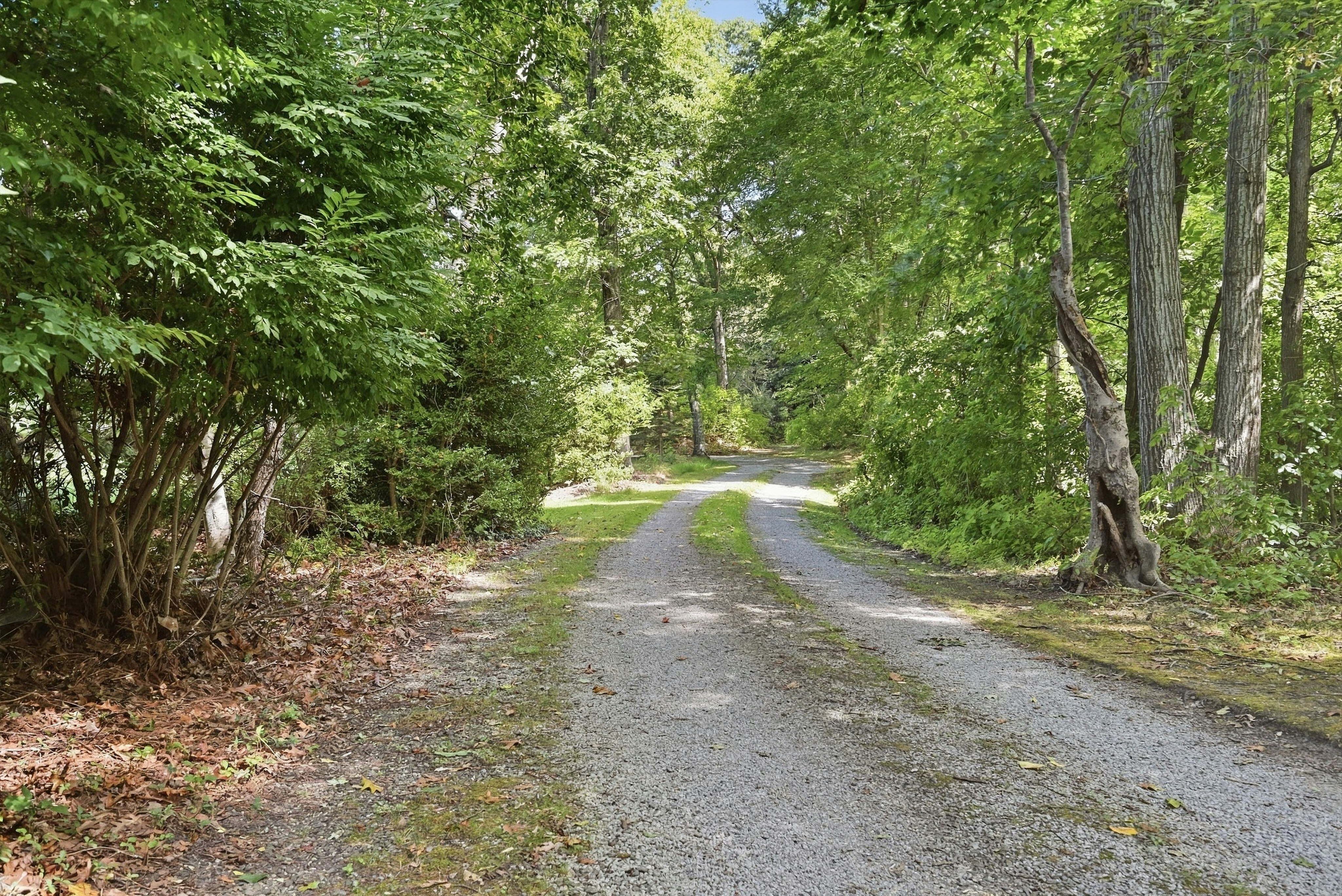  61341 Route 25, Southold, NY, 11971 - 物件實景