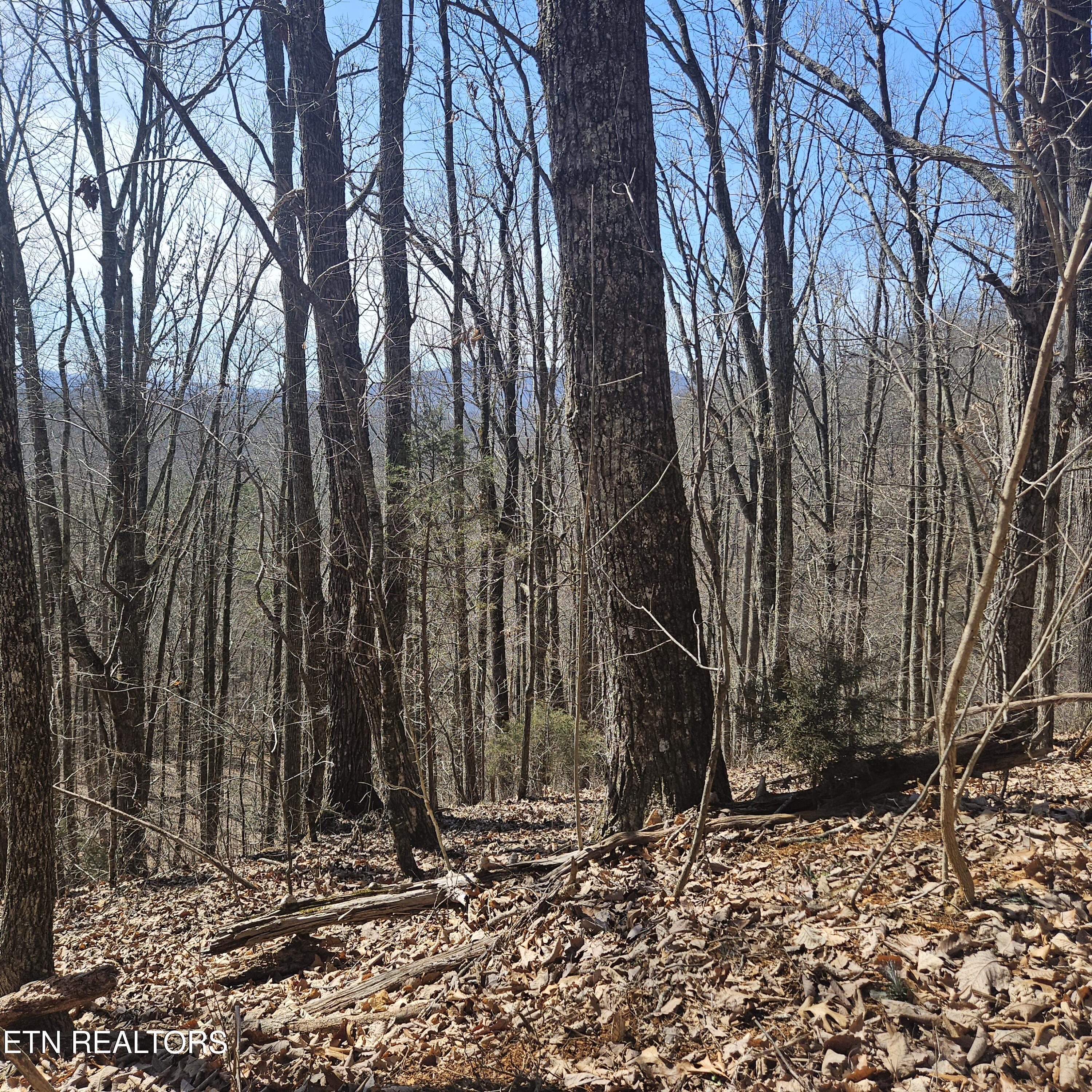 Tellico Plains, Tennessee, 37385, United States, ,Residential,For Sale,1922105