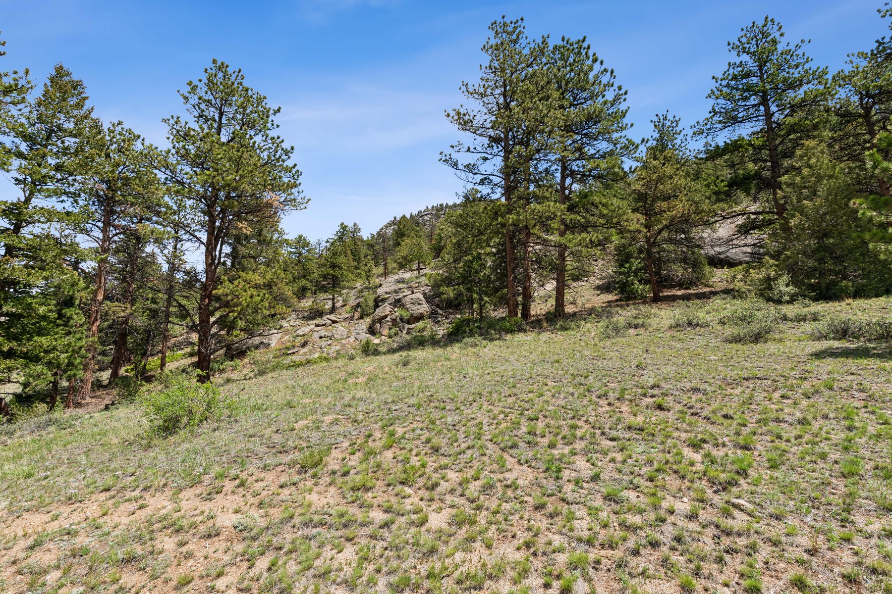  Exclusive Opportunity in Estes Park - 21.78 Acres in Uplands at Fish Creek - 物件實景