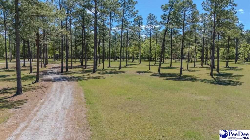 1315 Hill Harrell Road, Effingham, South Carolina, 29541-3179, United States, ,Land,For Sale,1315 Hill Harrell Road,1501598