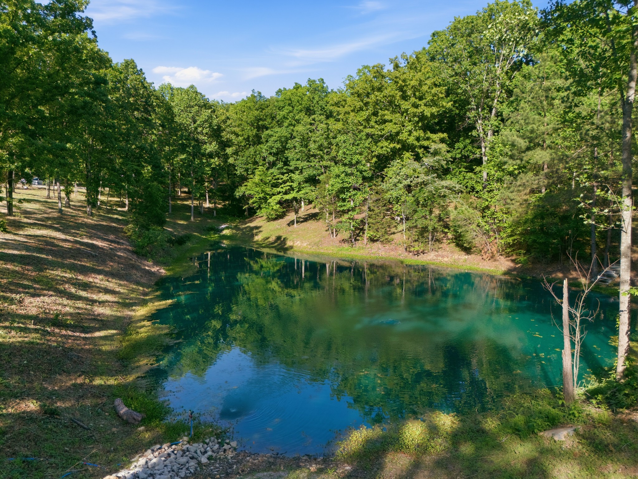  7948 Daugherty Capley Rd, Primm Springs, TN, 38476 - 物件實景