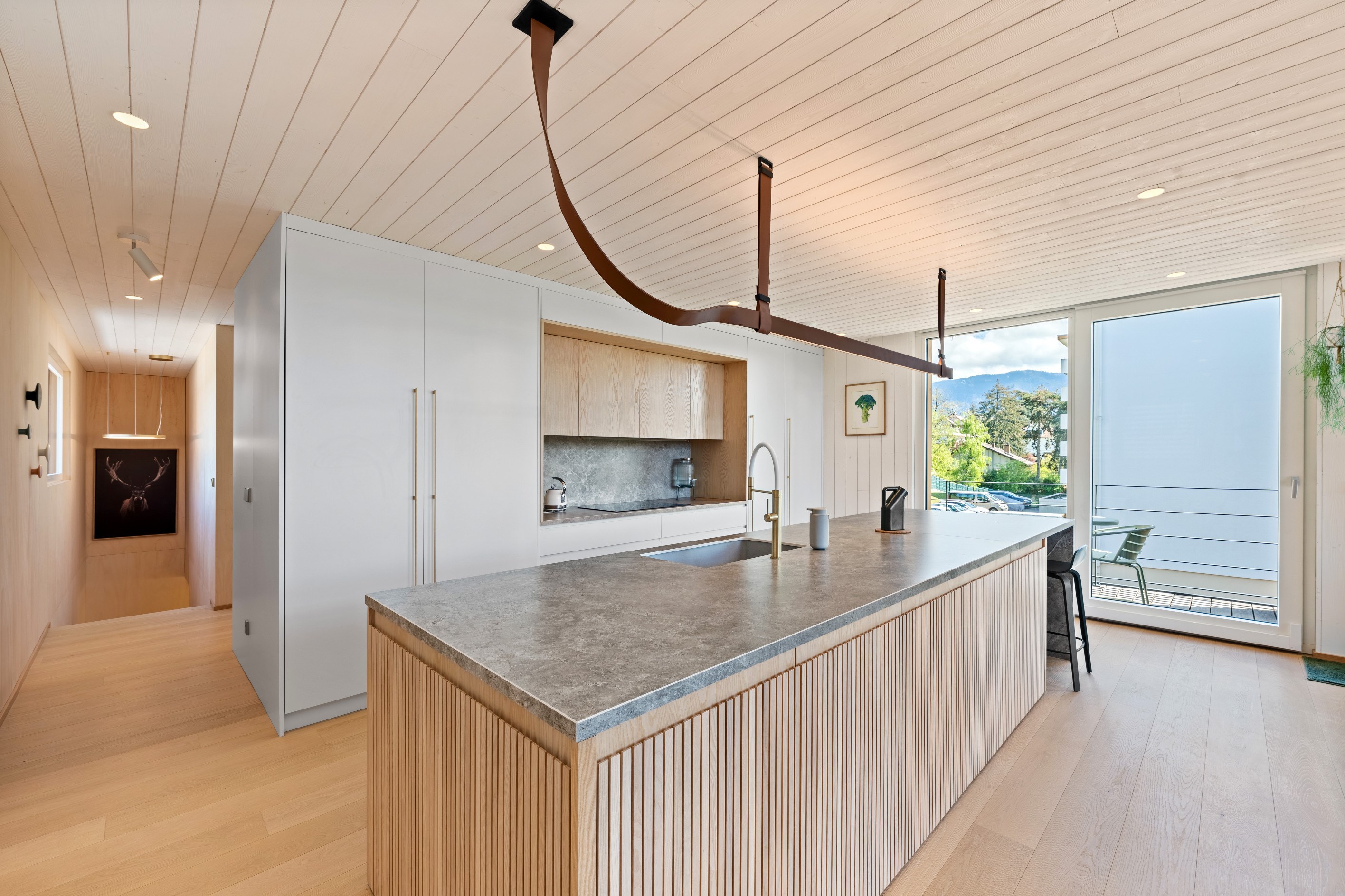  Thonon-les-Bains – New Contemporary Architect-Designed Villa in the Heart of th… - 物件實景