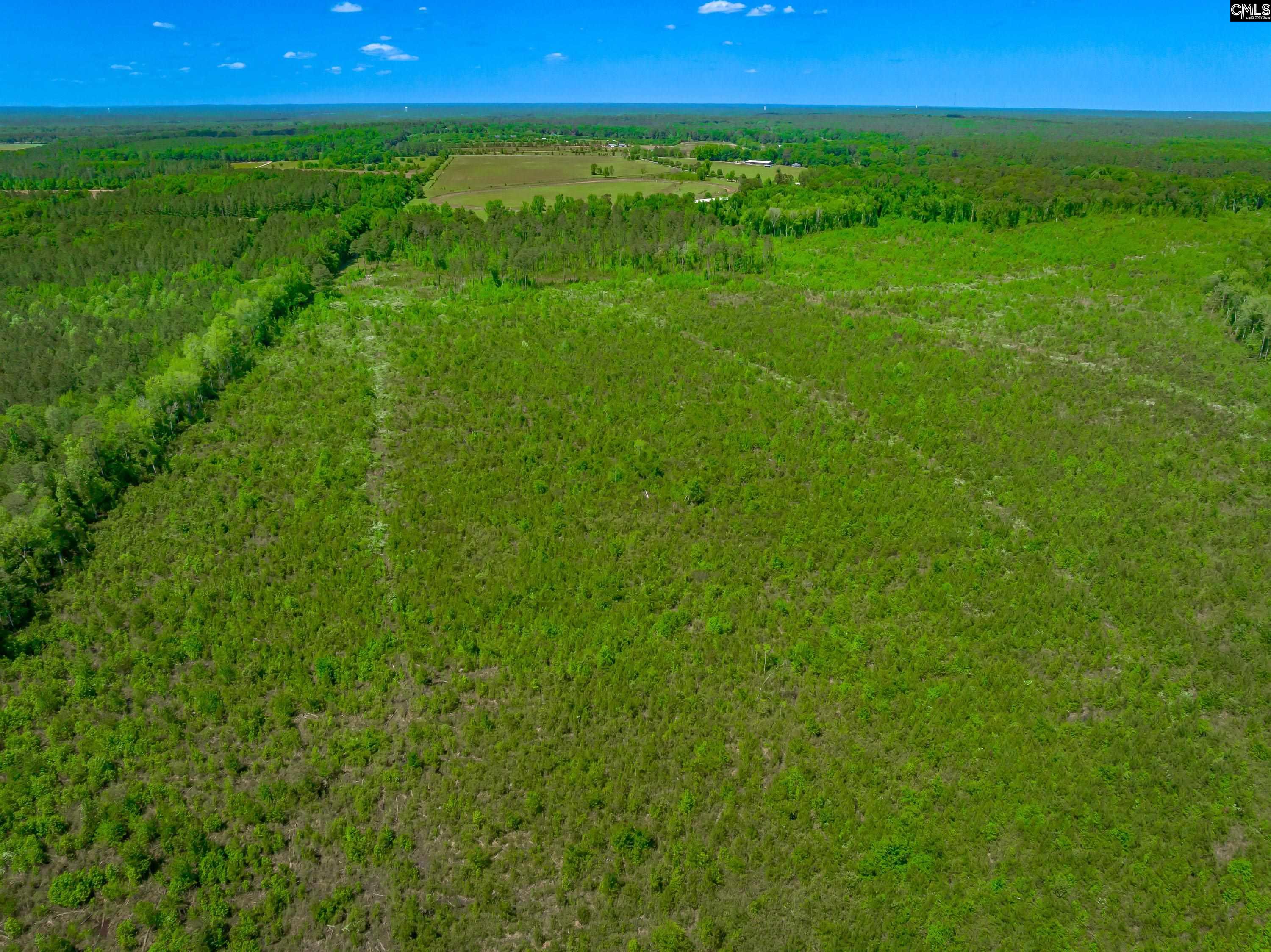  377 Sweet Street  Rembert, SC - 物件實景