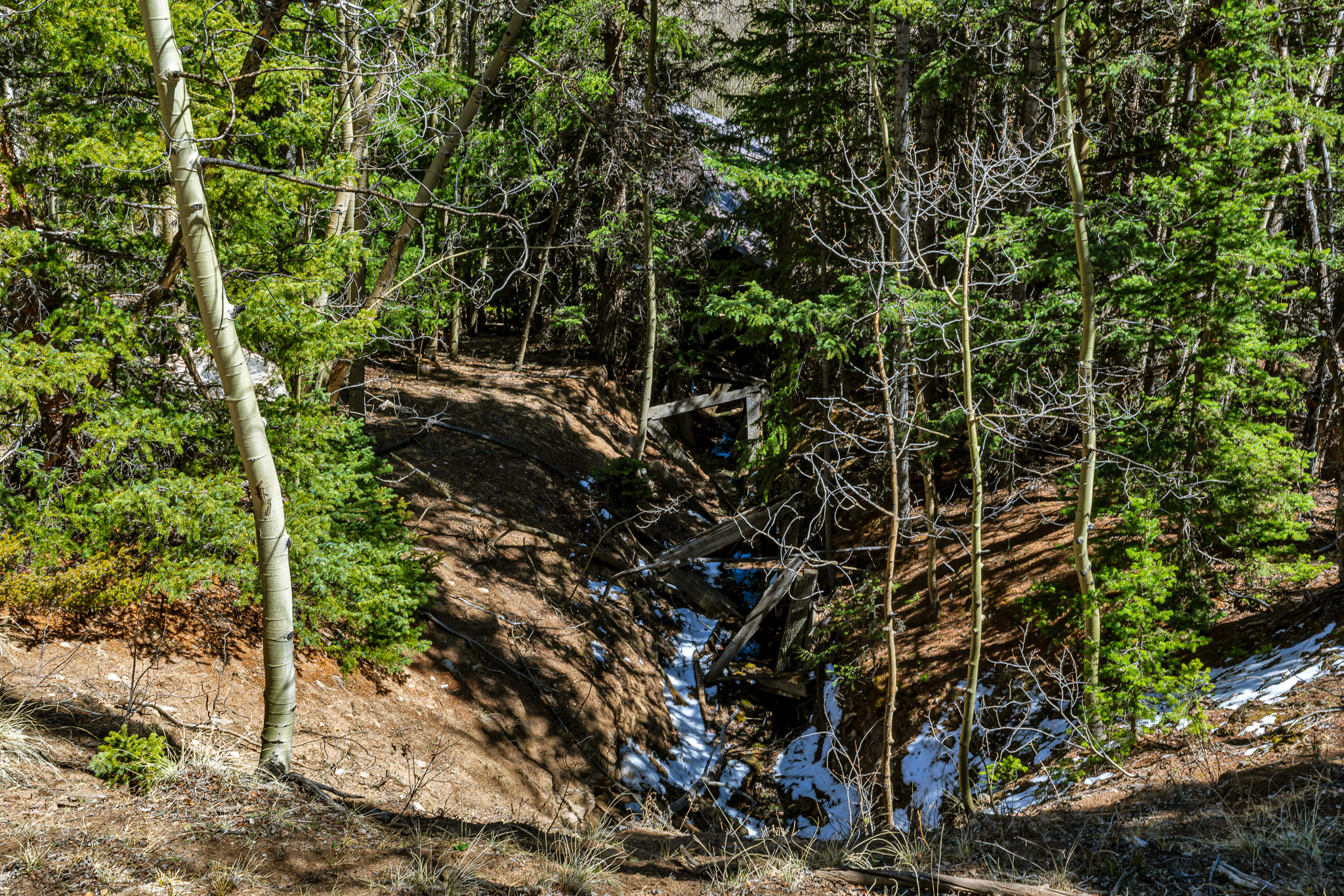  270 Co Rd 667, Alma, CO, 80440 - 物件實景