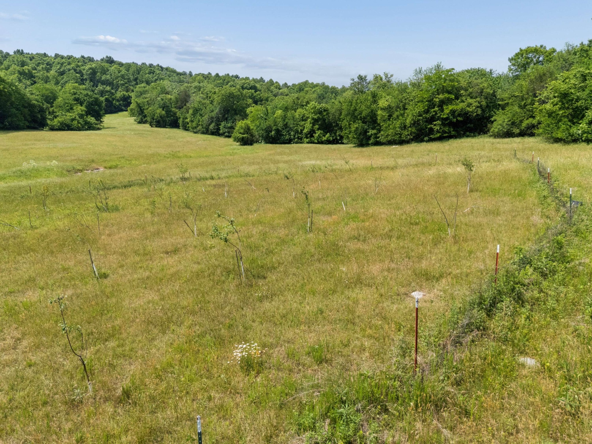  2063 Kennedy Creek Rd, Auburntown, TN, 37016 - 物件實景