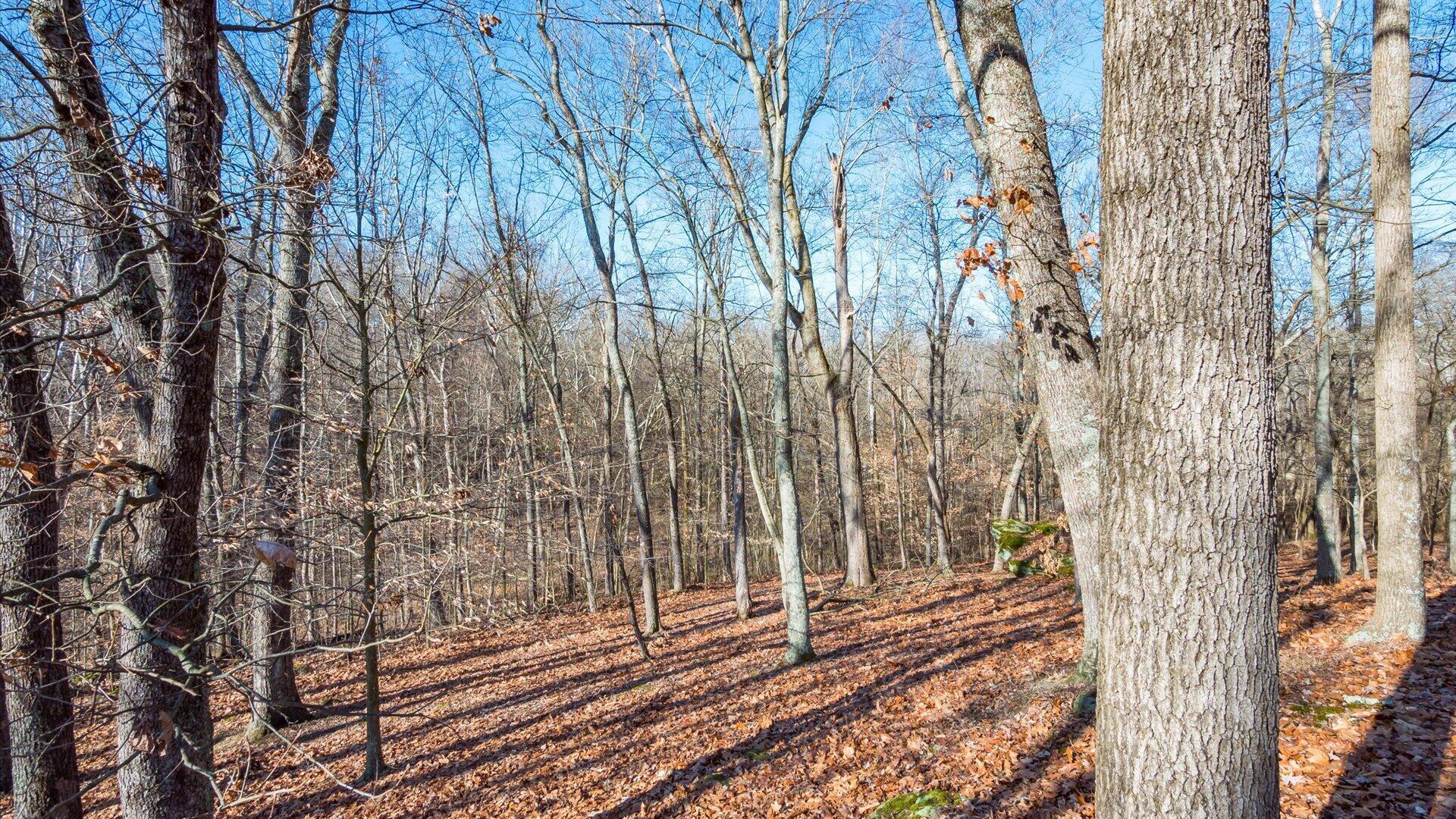 Nashport, Ohio, 43830, United States, 3 Bedrooms Bedrooms, ,3 BathroomsBathrooms,Residential,For Sale,1978230