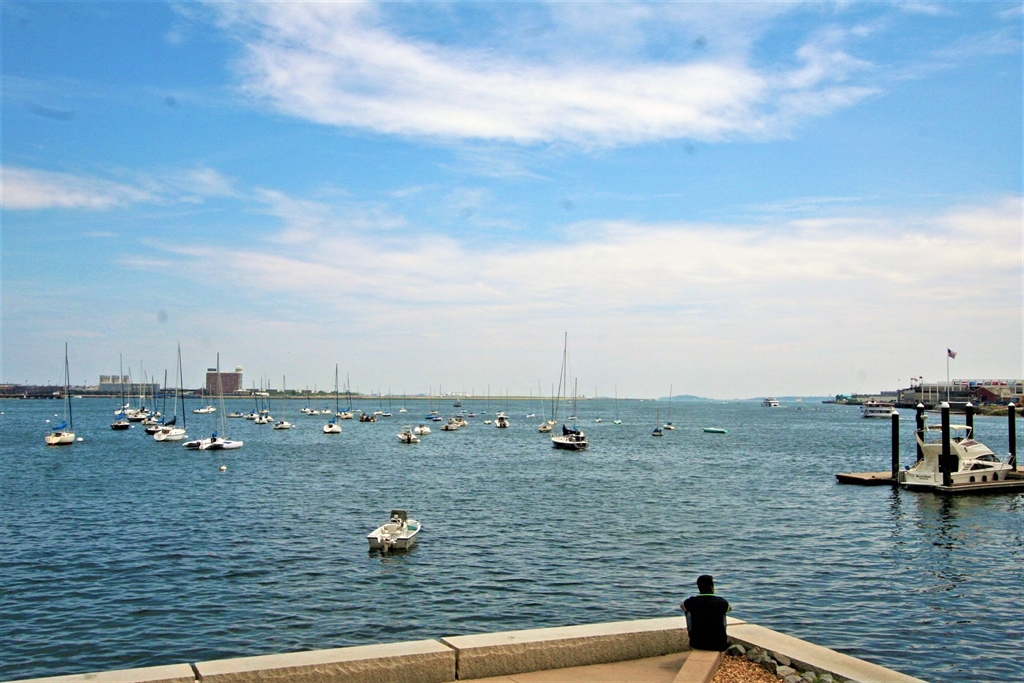 Boston, Massachusetts, 02110, United States, 1 Bedroom Bedrooms, ,2 BathroomsBathrooms,Residential,For Sale,1745090