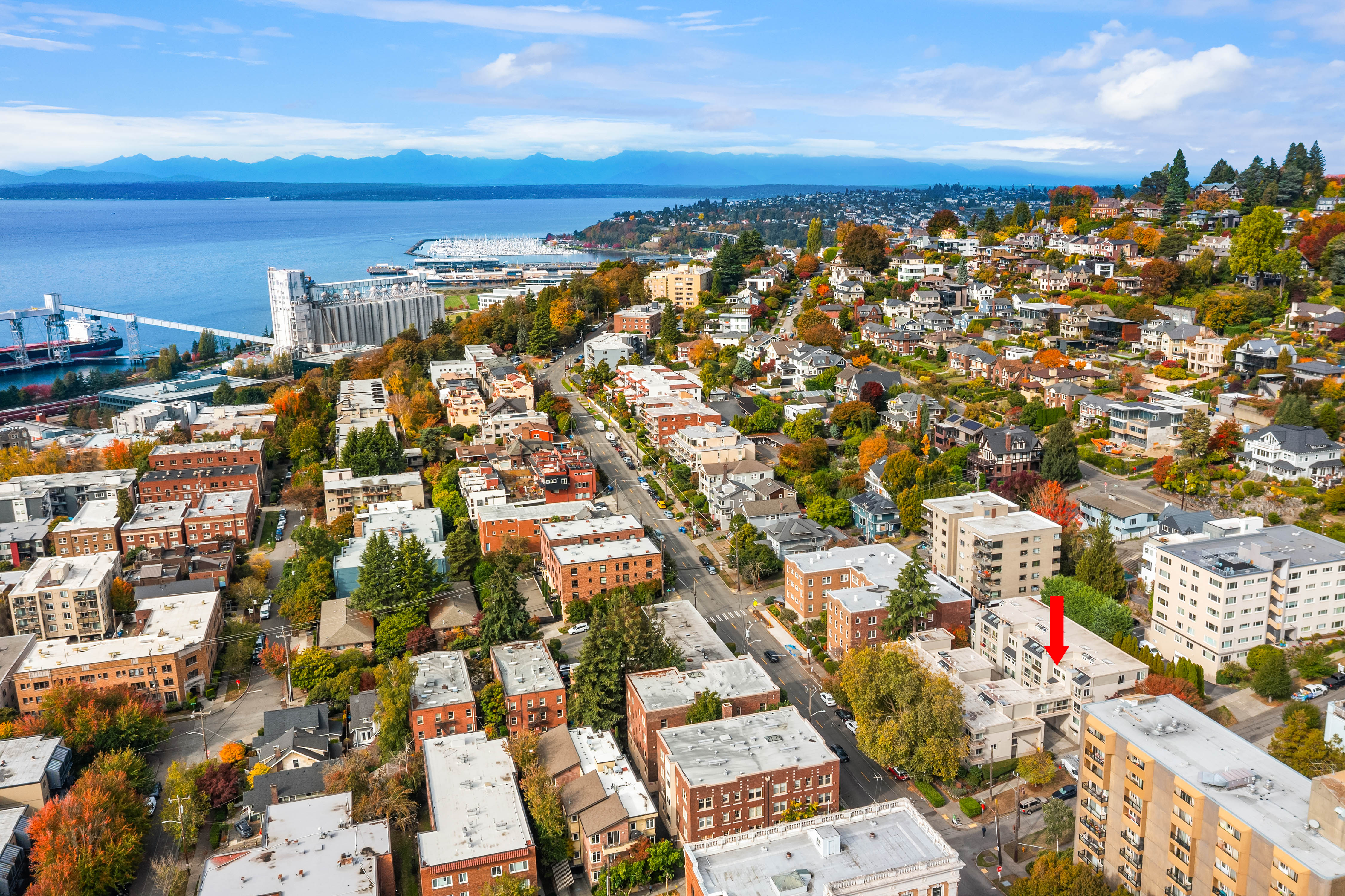  202 W Olympic Place Unit #302, Seattle, WA 98119 - 物件實景
