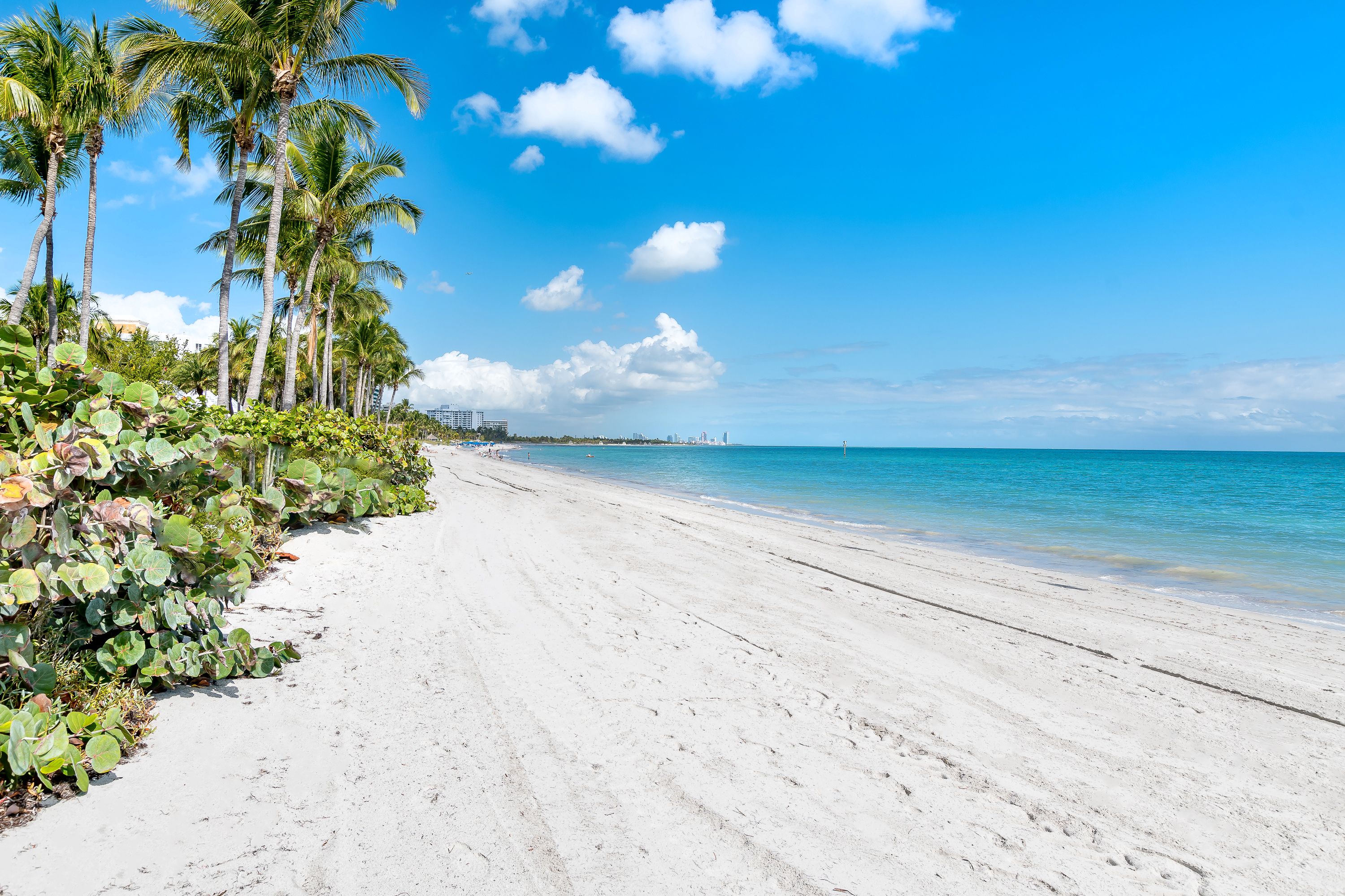  791 Crandon Blvd, Key Biscayne, FL, 33149 - 物件實景