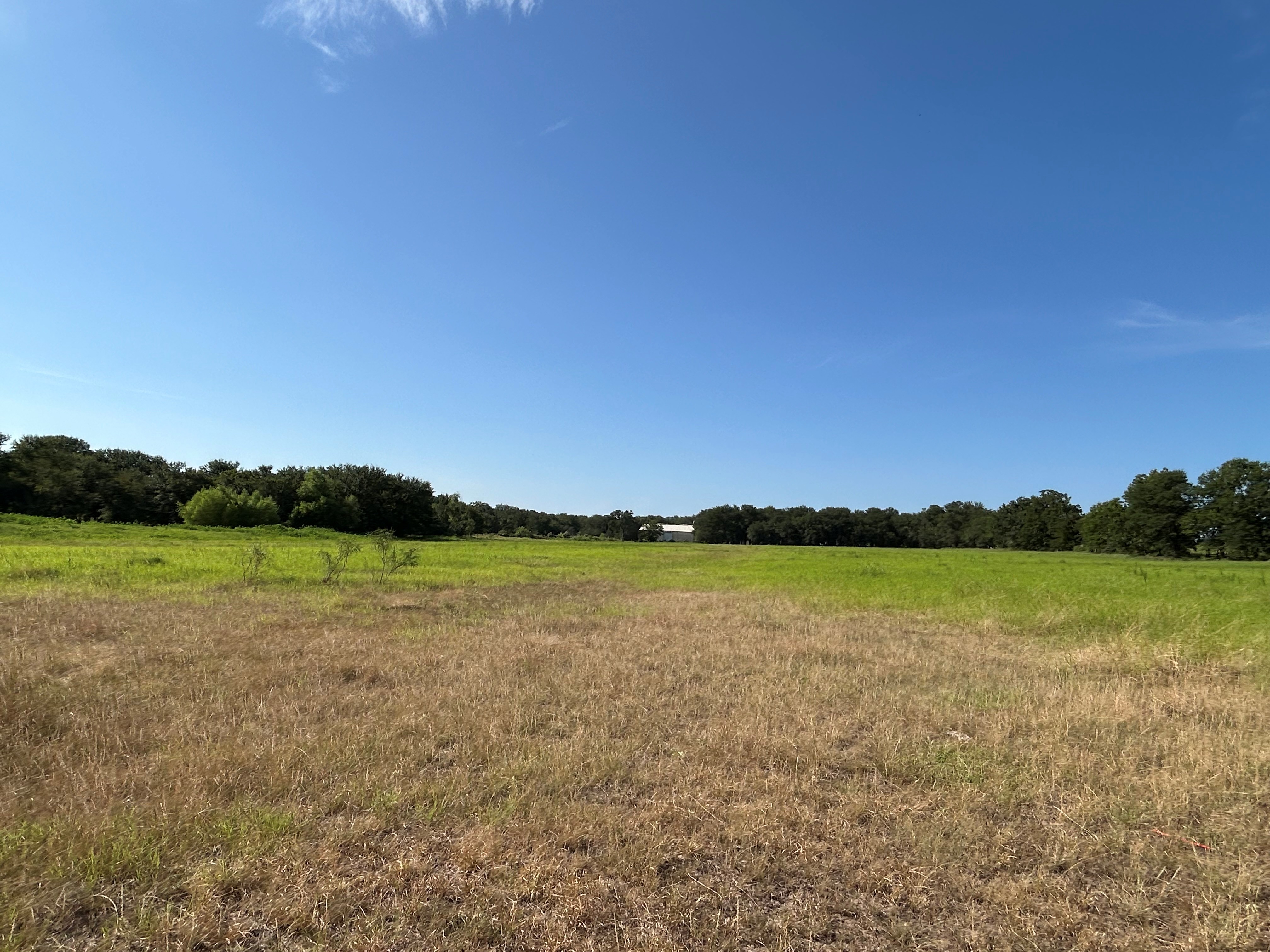 Bridgeport, Texas, 76426, United States, ,Land,For Sale,1981851