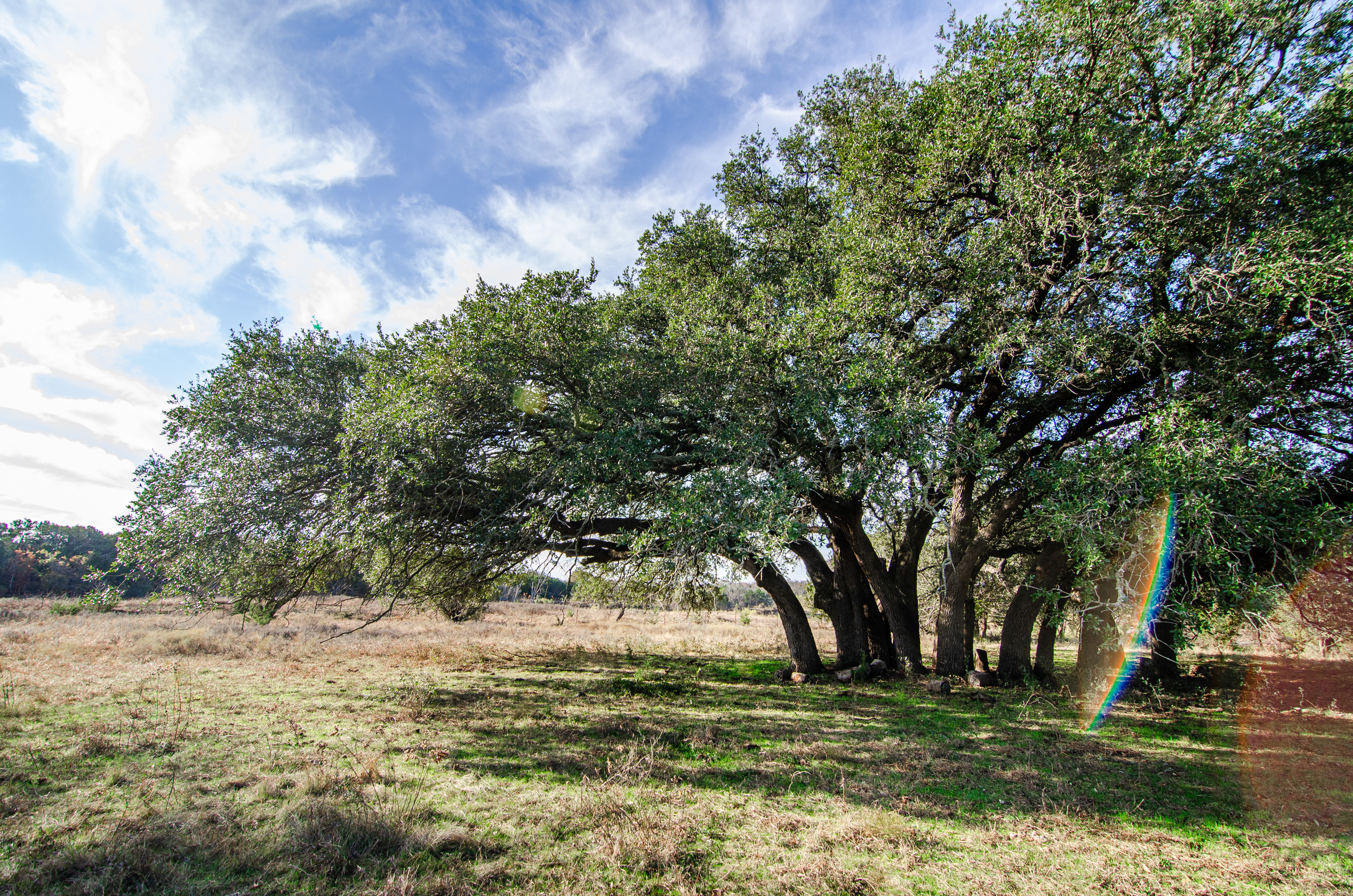  Duck Haven Ranch - 物件實景