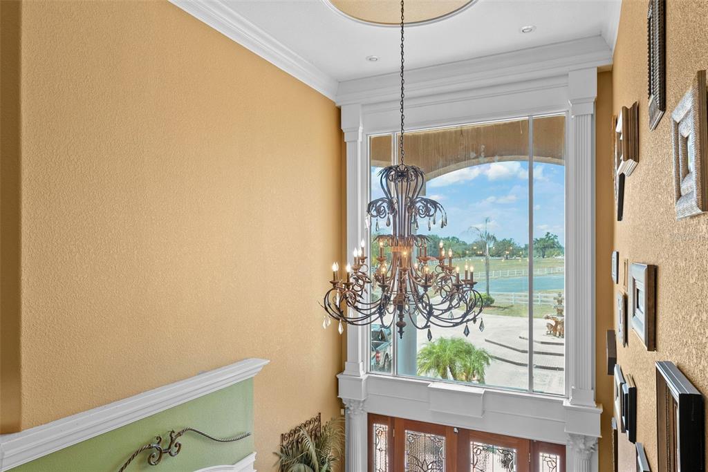Thonotosassa, Florida, 33592, United States, 4 Bedrooms Bedrooms, ,7 BathroomsBathrooms,Residential,For Sale,1788935