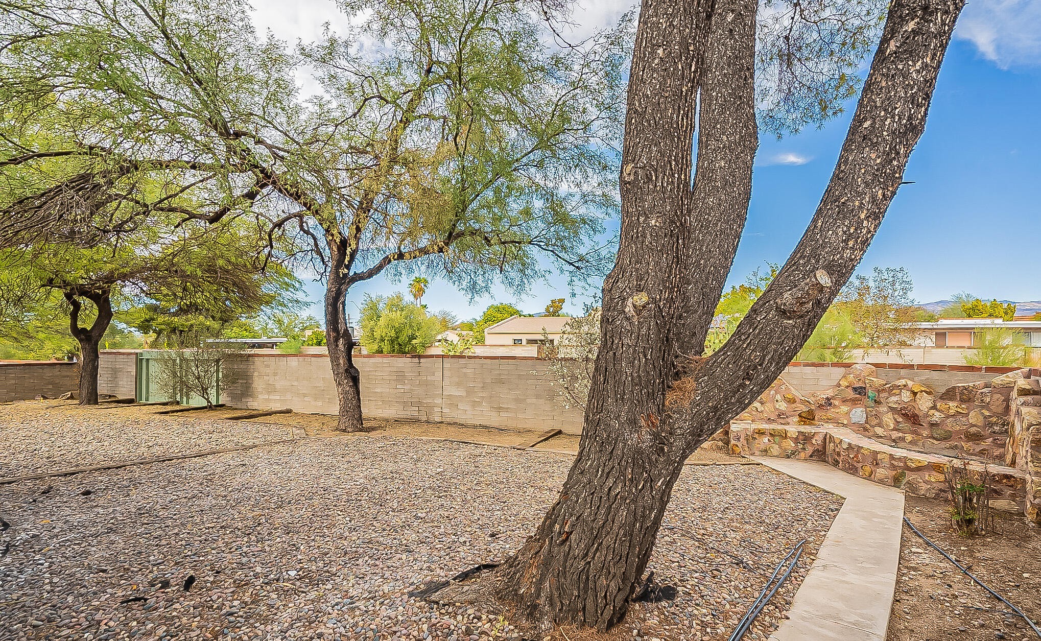  8707 E Wallen Ridge Drive¦Tucson, AZ - 物件實景