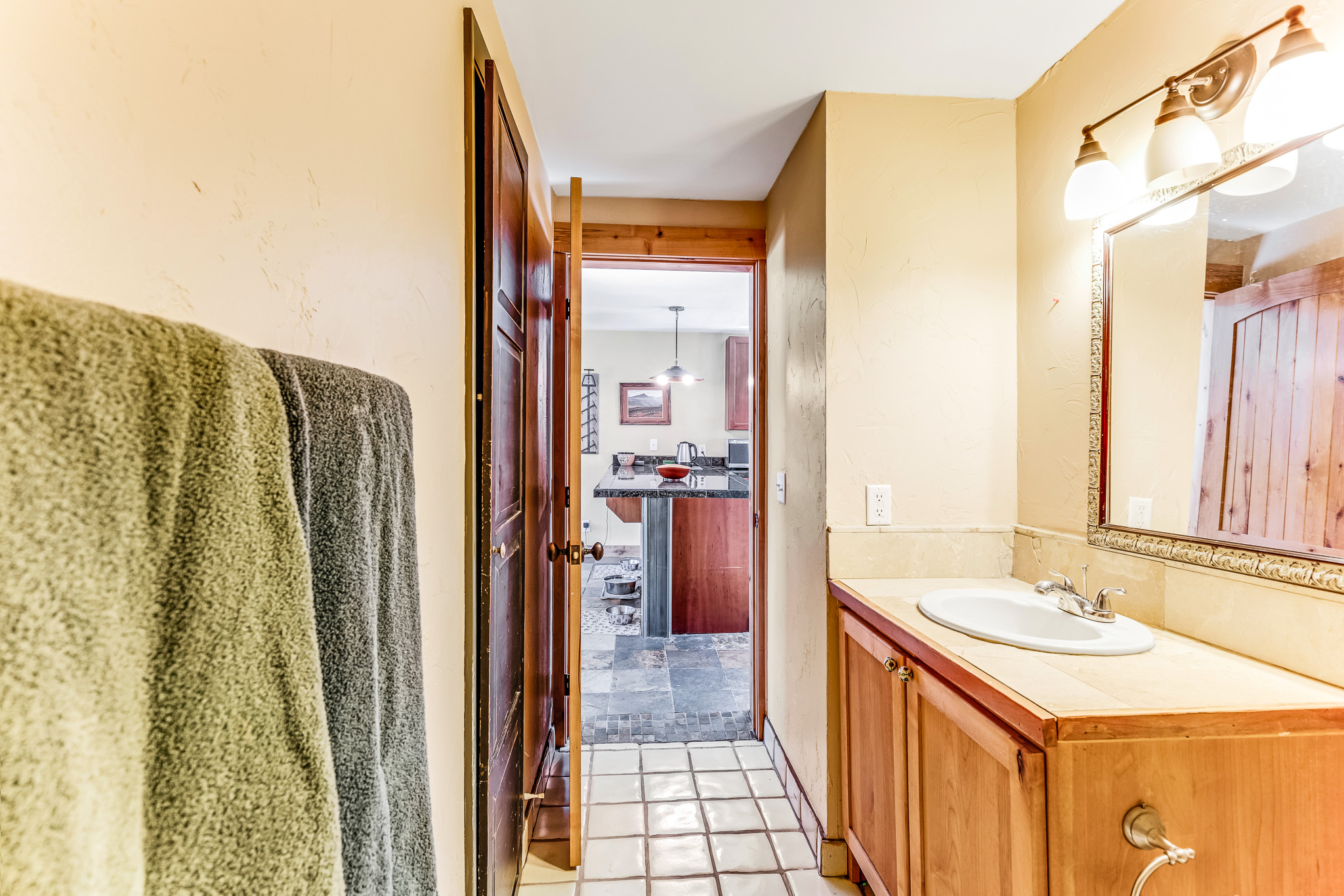  29 S Oak Street, Alma, CO, 80420 - 物件實景