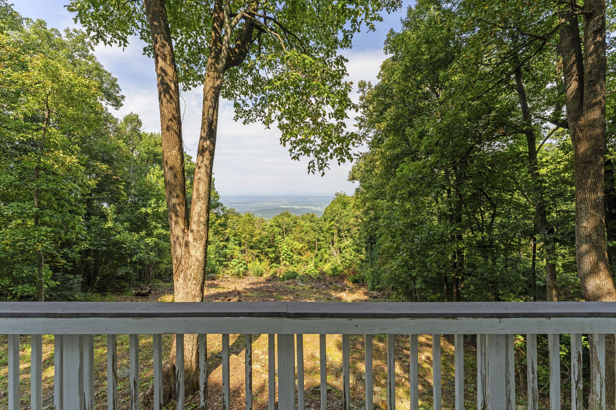  4607 Blue Mountain Road, Linden, VA, 22642 - 物件實景