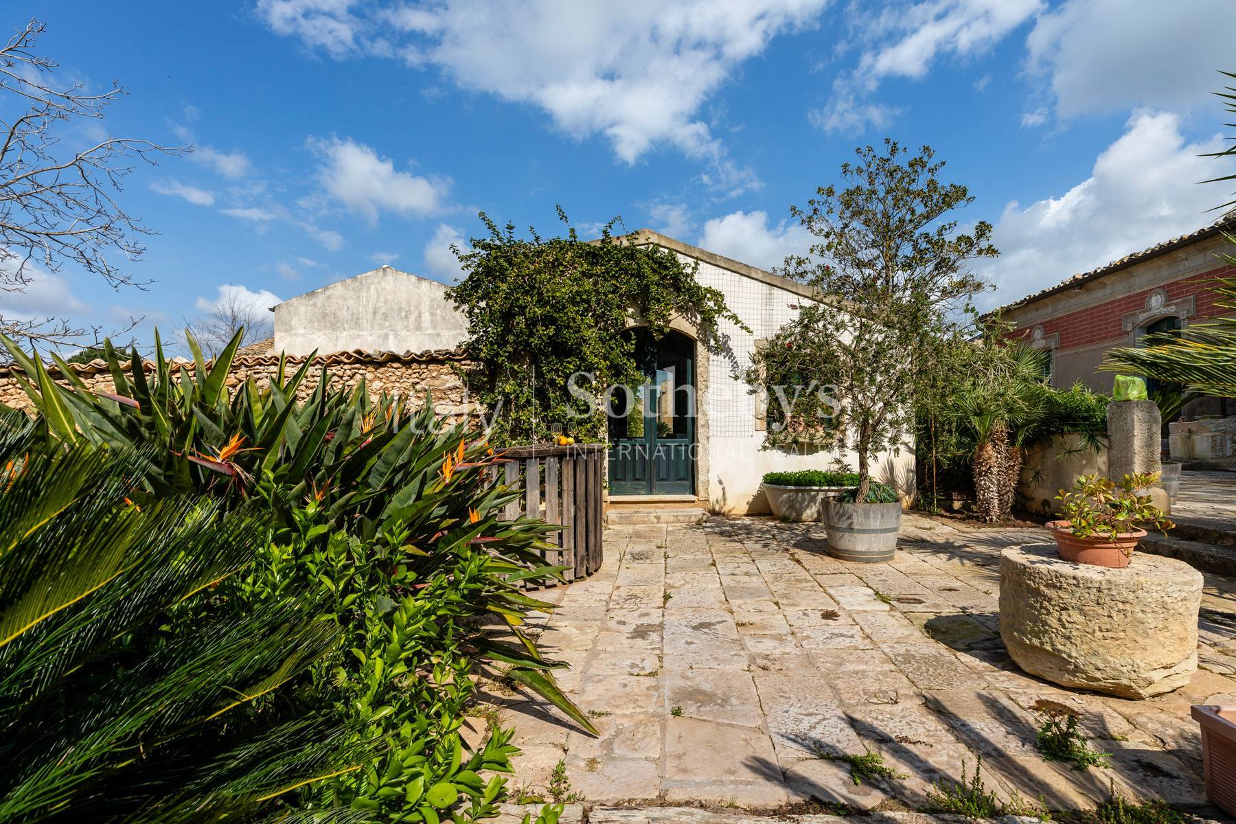  Historic Sicilian wine estate with vineyards and olive grove - 物件實景