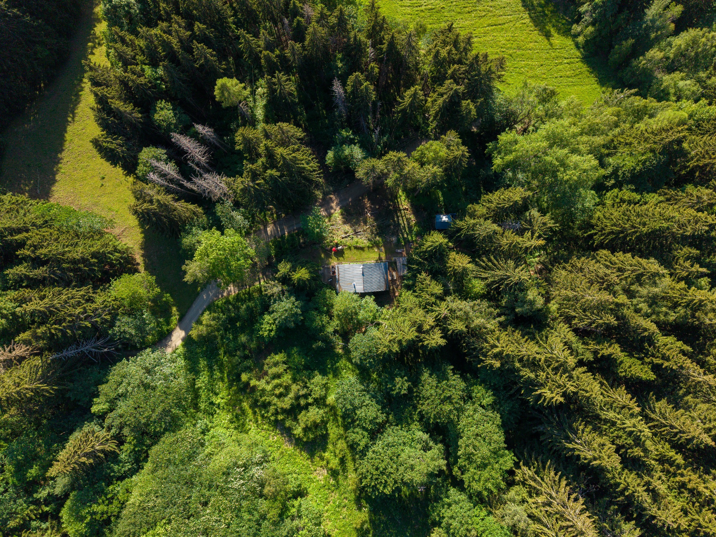  EXCLUSIVITY - CHALET DIANE - 物件實景