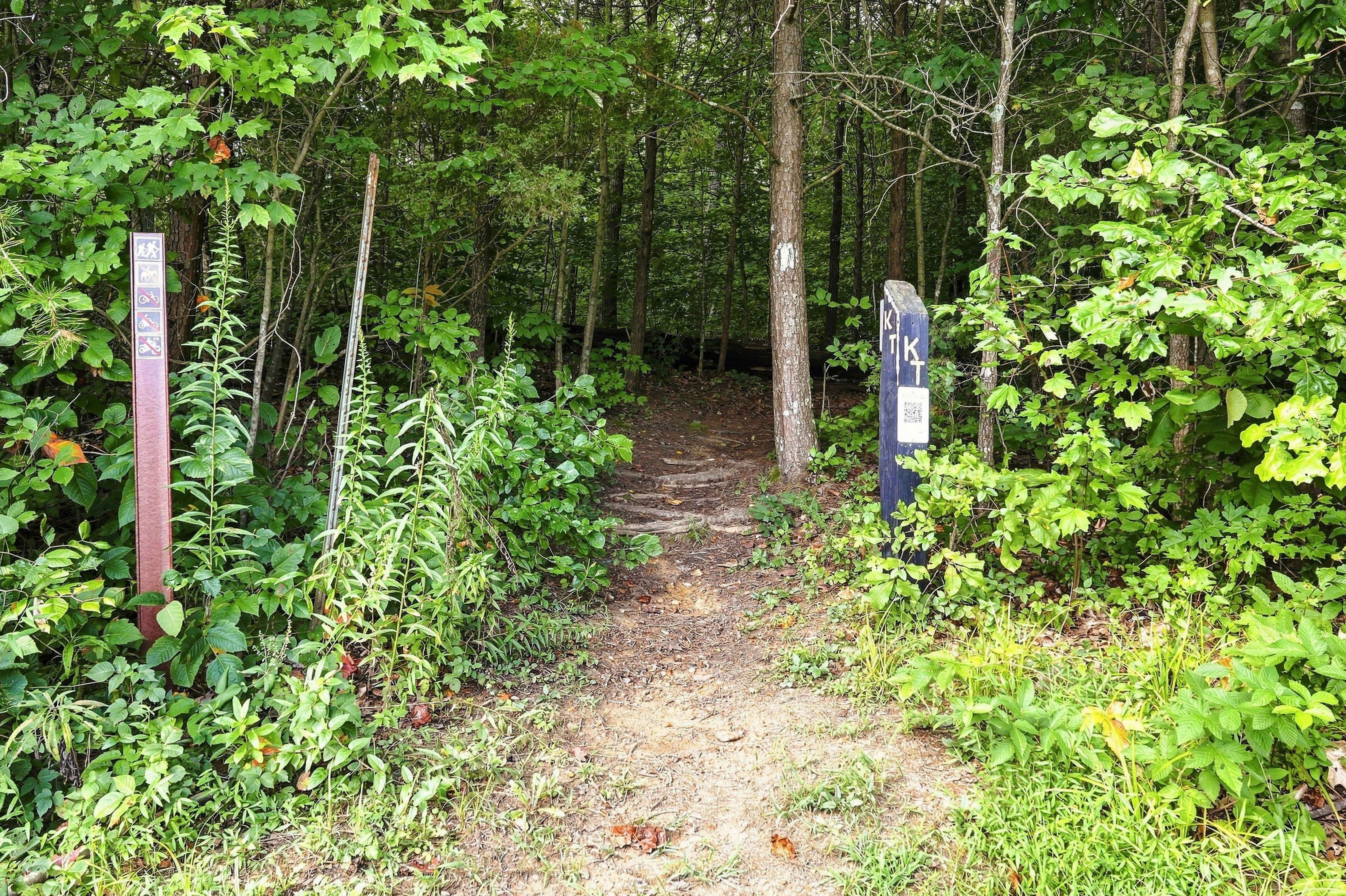  3870 North Leval Ratt Road, Scottsburg, IN 47170 - 物件實景