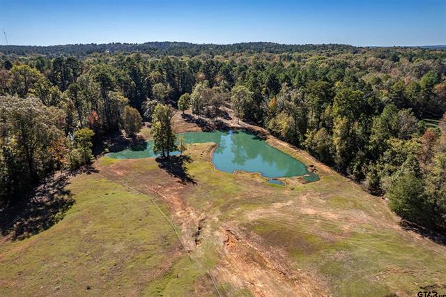 Winona, Texas, 75792, United States, 4 Bedrooms Bedrooms, ,2 BathroomsBathrooms,Residential,For Sale,1995143