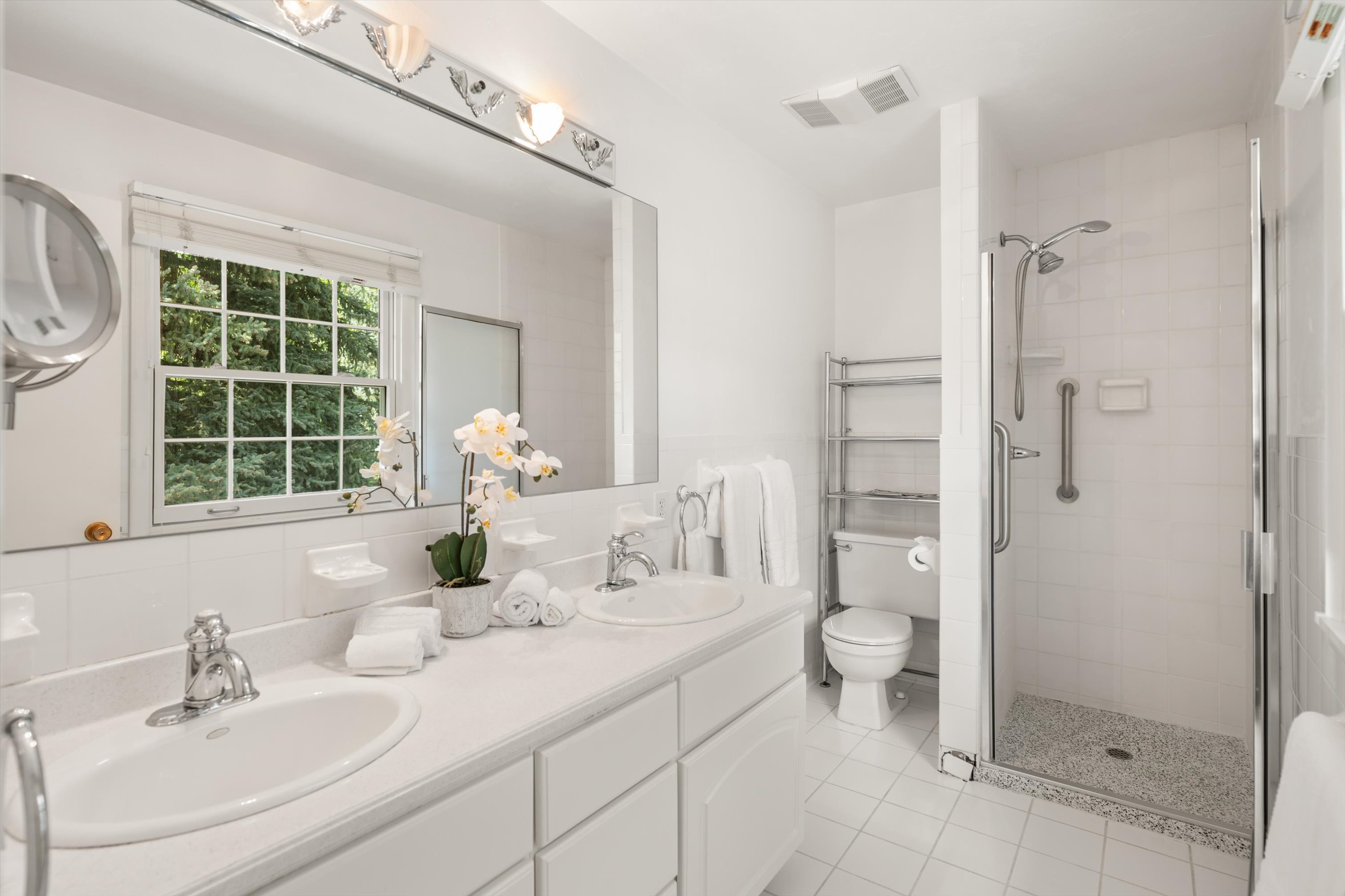 875 Bonita Drive, Aspen, CO 81611 - 物件實景