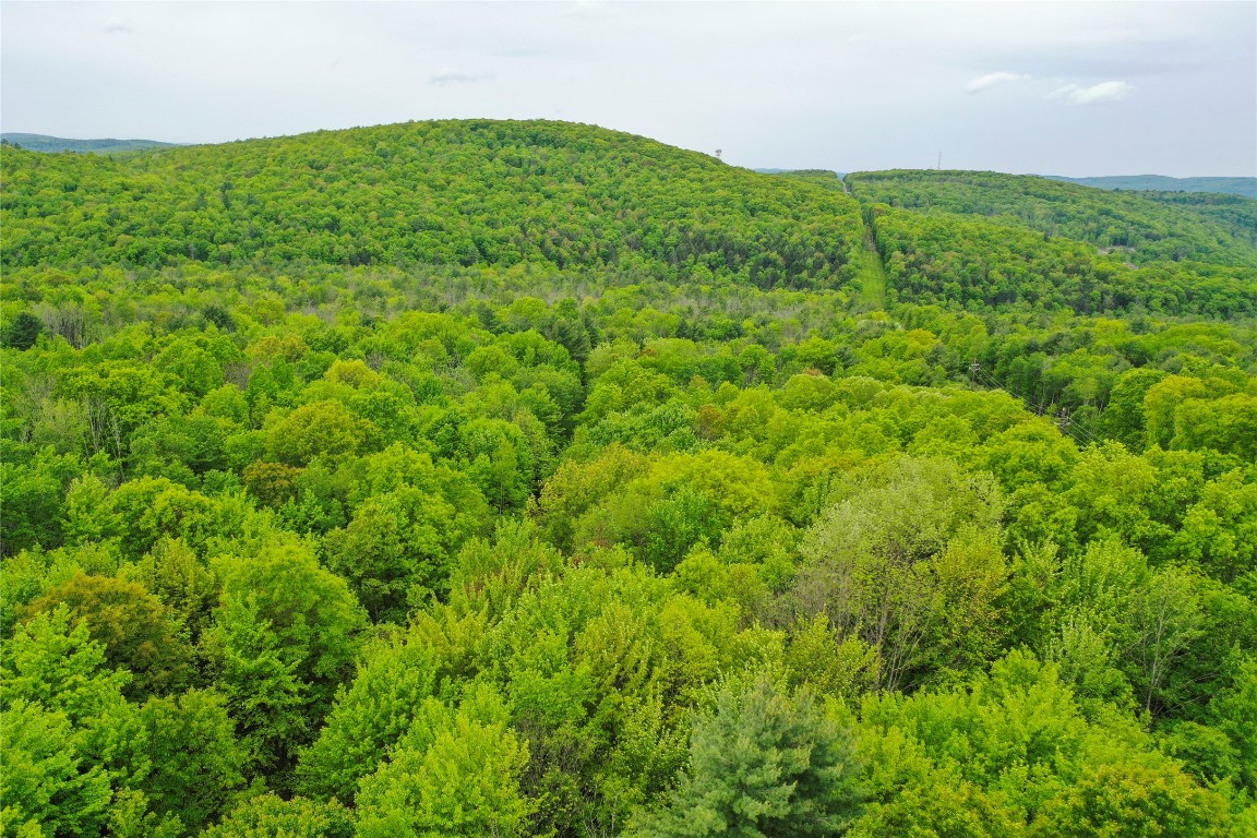 Vestal, New York, 13850, United States, ,Residential,For Sale,1935631