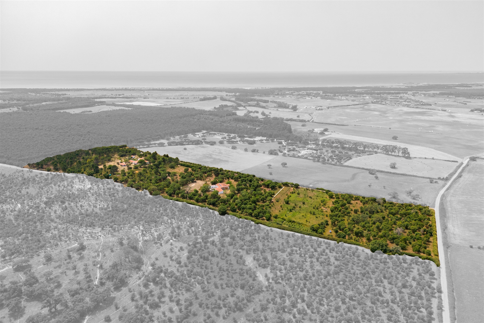  Farm, 7 bedrooms, for Sale - 物件實景