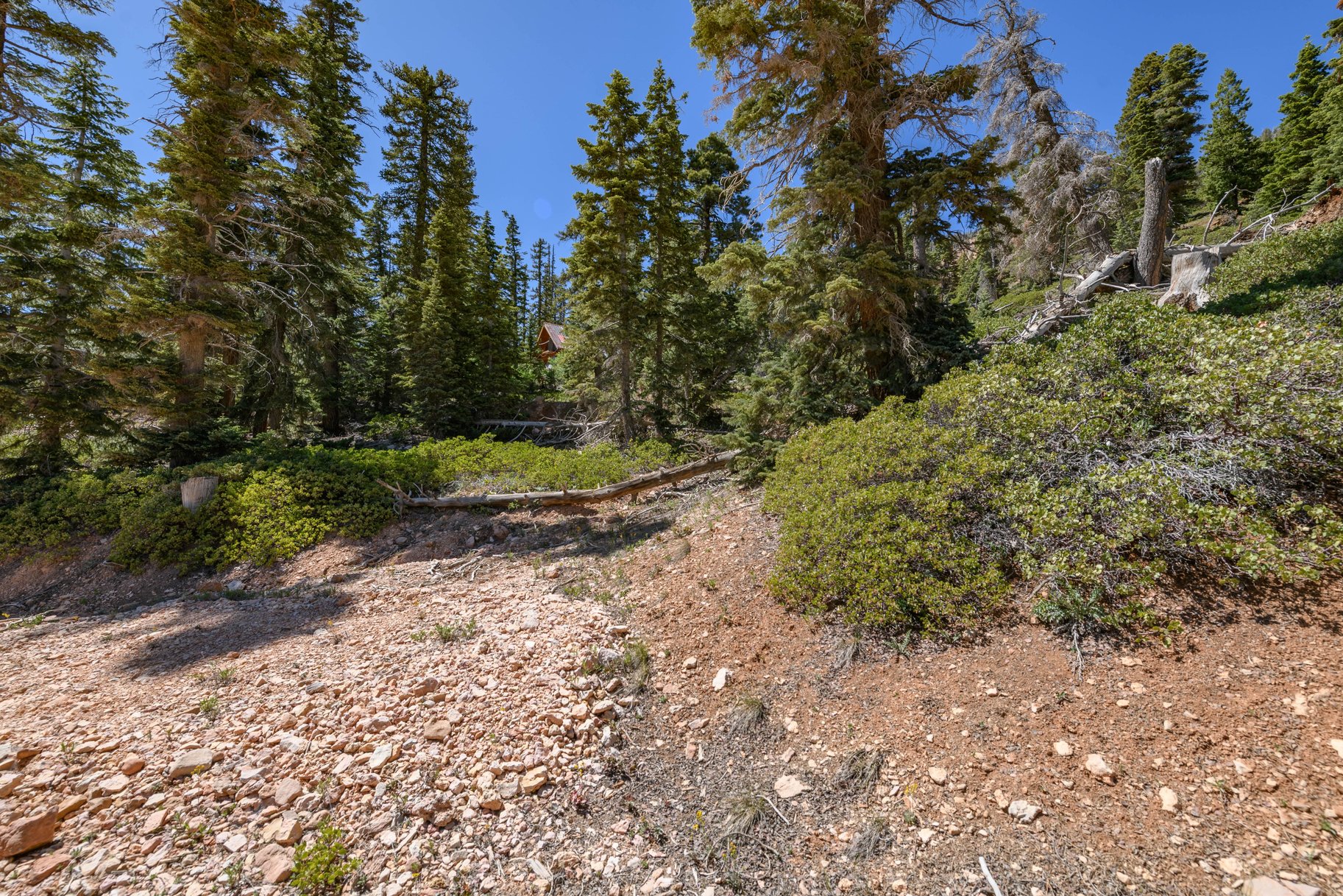  Quiet Mountain Retreat Near Navajo Lake - 物件實景