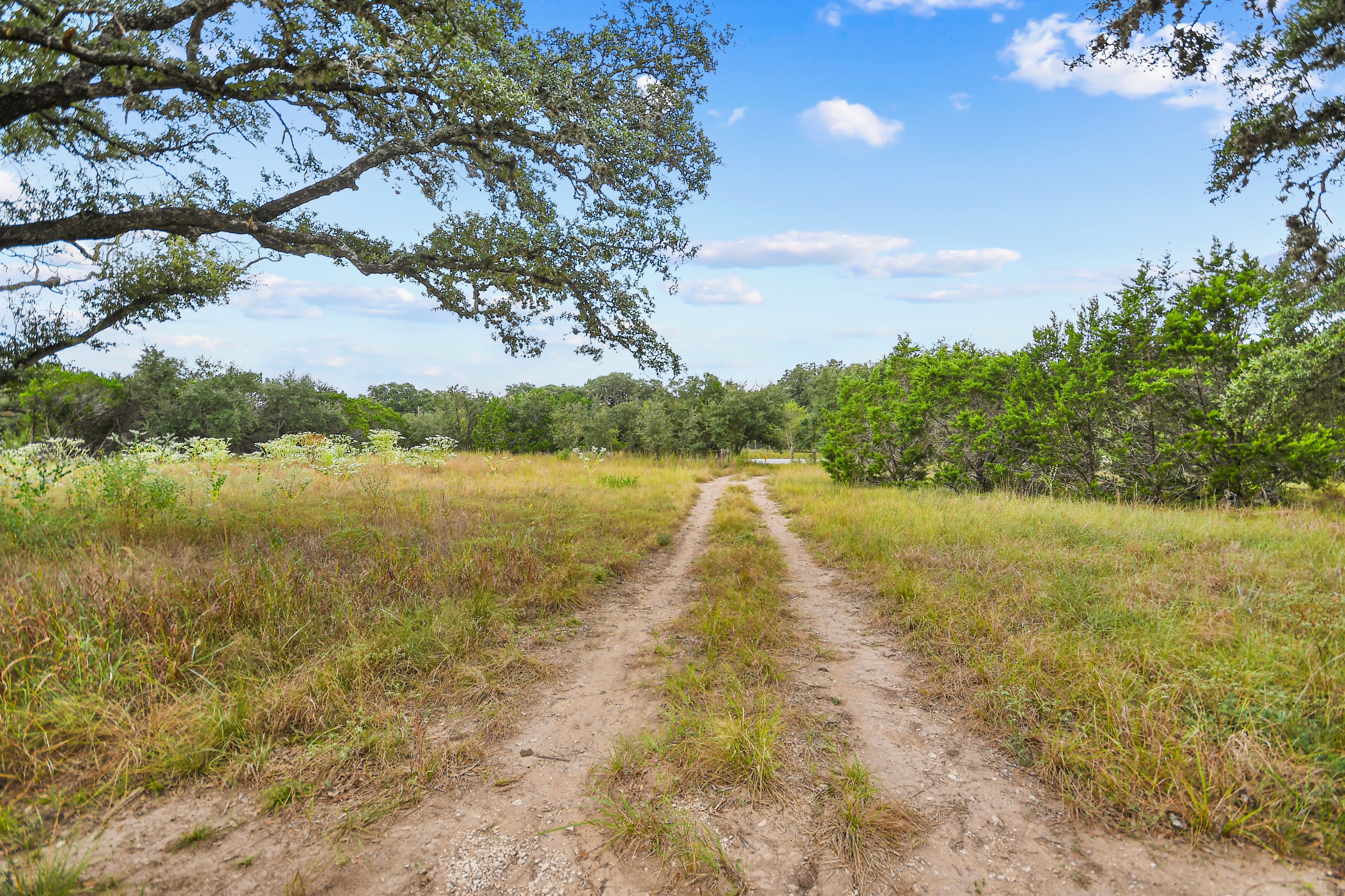  TBD Hwy 46 / Madrona Ranch Road, Pipe Creek, TX 78063 - 物件實景