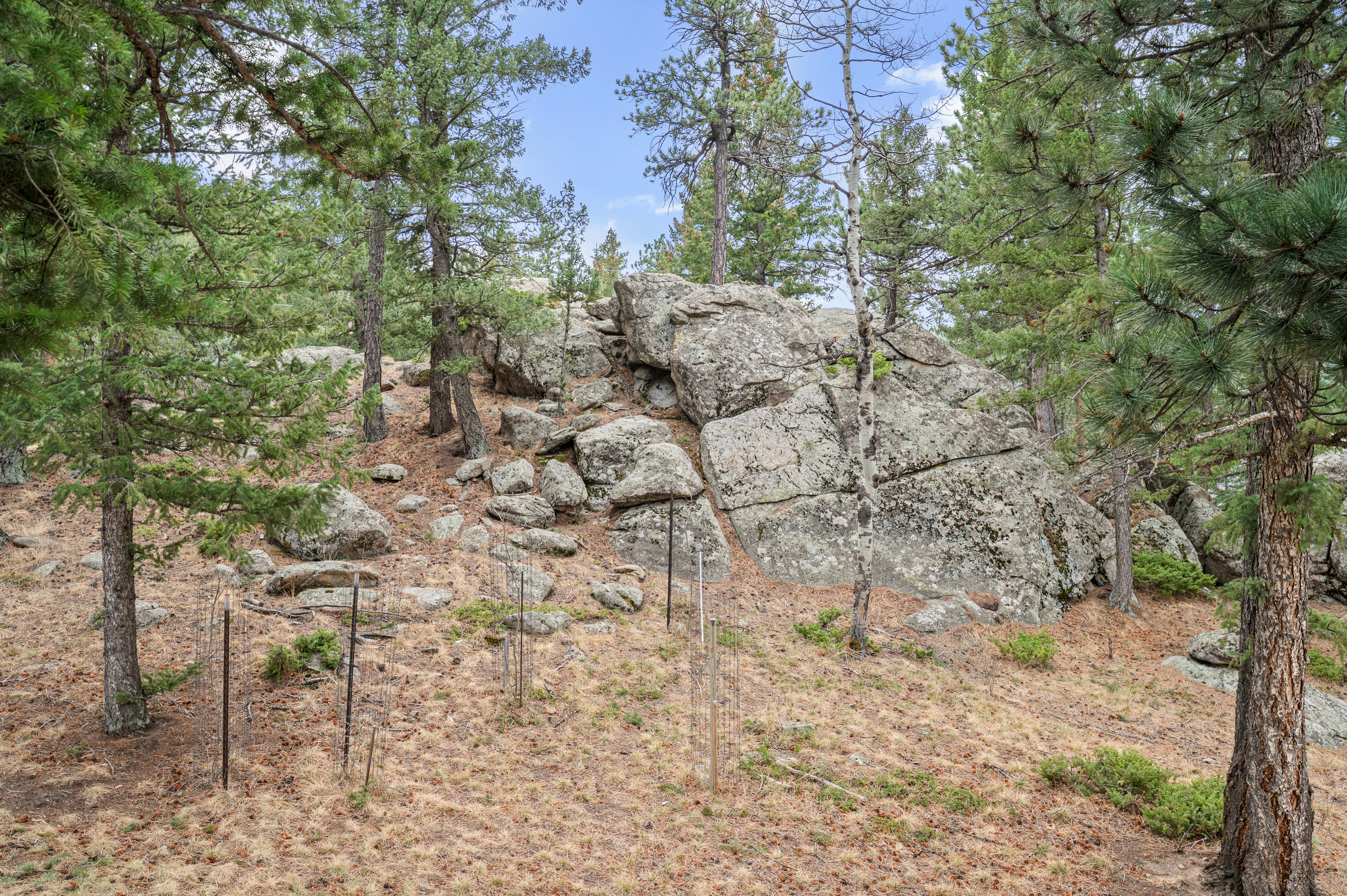  Freedom to Live Your Own Way - 物件實景