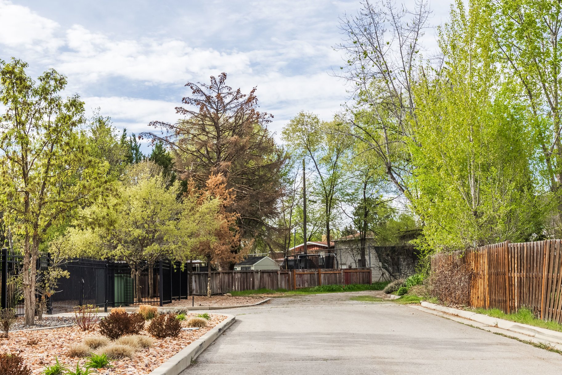  Spacious Property Down a Private Lane - 物件實景