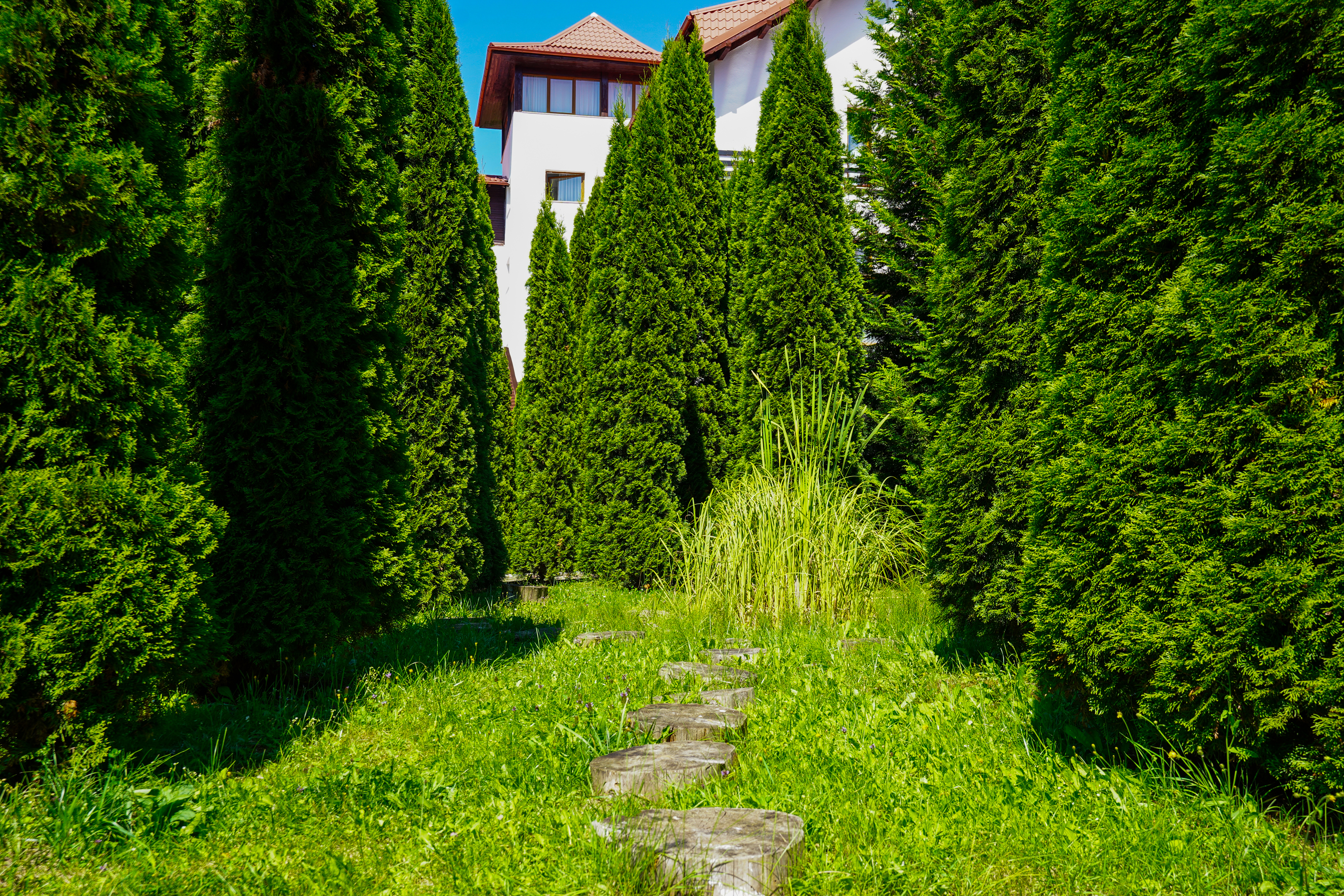  Hotel Miraj – 4-Star Hotel in the Heart of the Poiana Braov Mountain Resort - 物件實景