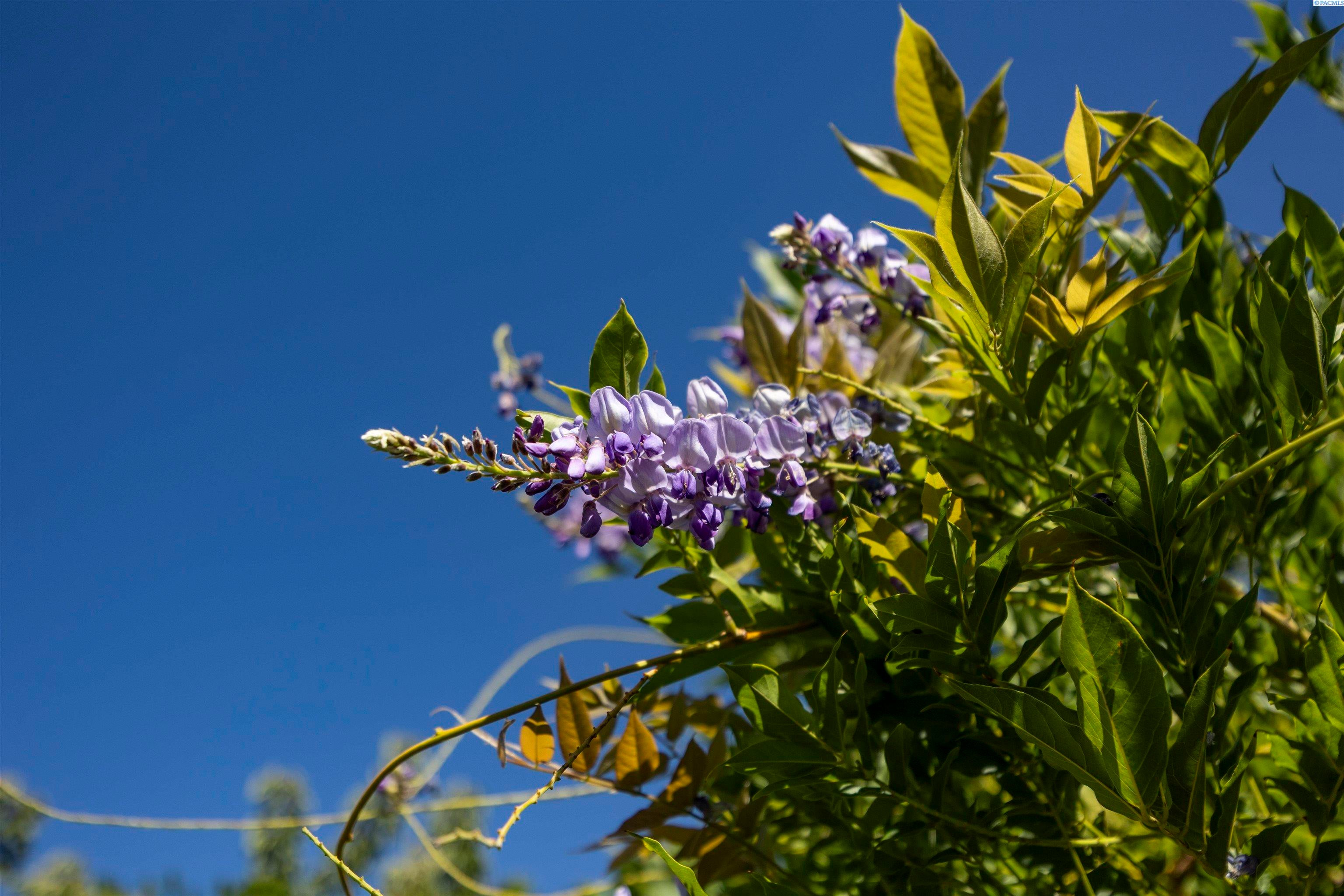 Sunnyside, Washington, 98944, United States, 4 Bedrooms Bedrooms, ,3 BathroomsBathrooms,Residential,For Sale,1979246