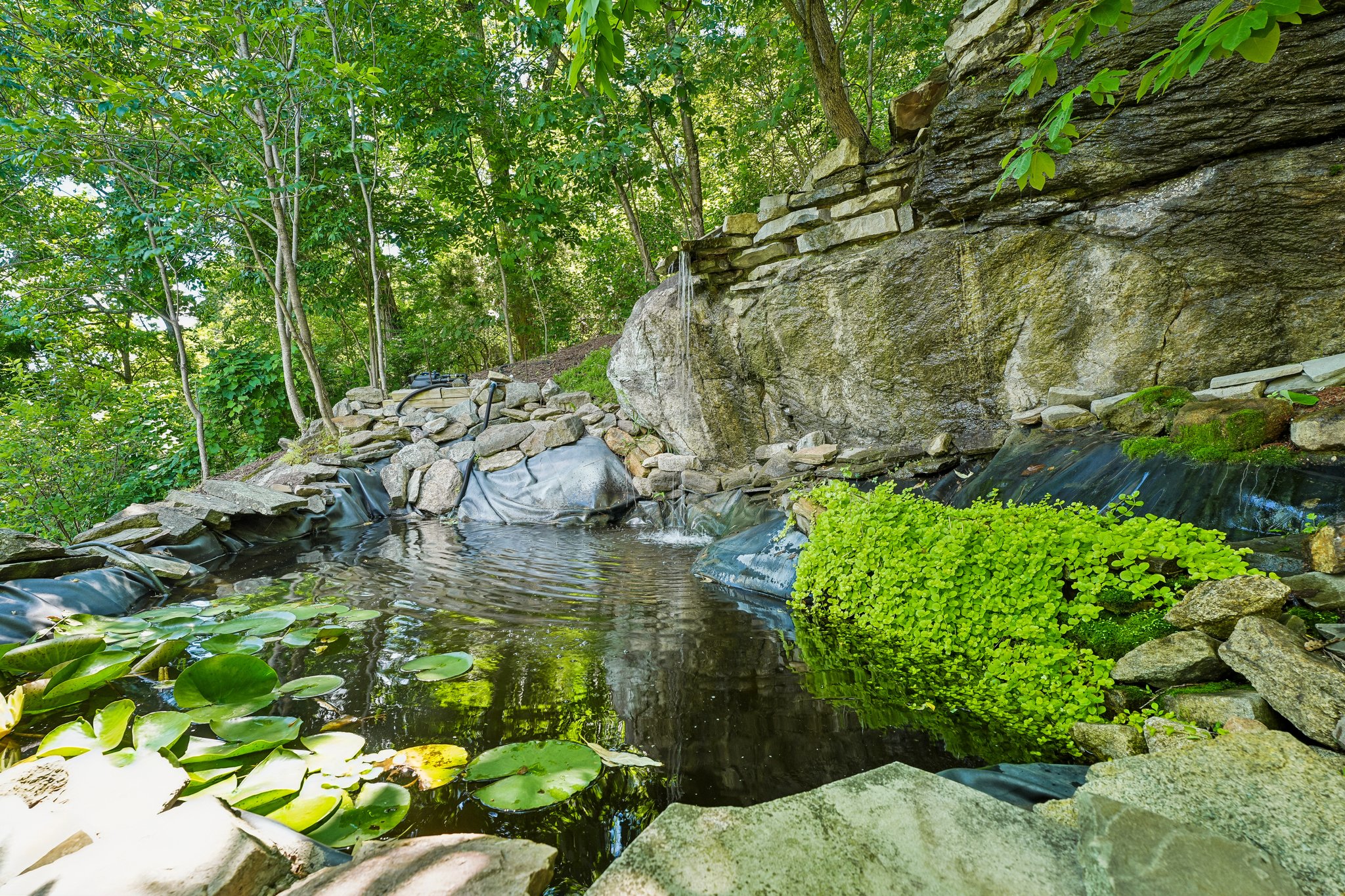  117 Green Pond Road, Rockaway, NJ 07866 - 物件實景
