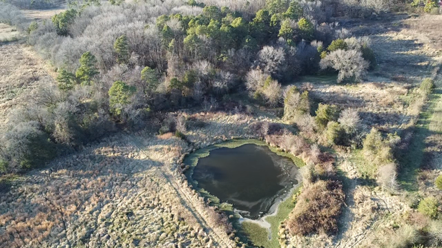 Clarksville, Arkansas, 72830, United States, 7 Bedrooms Bedrooms, ,3 BathroomsBathrooms,Residential,For Sale,2005713