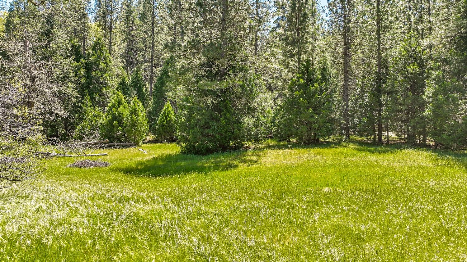 Mountain Ranch, California, 95246, United States, 1 Bedroom Bedrooms, ,1 BathroomBathrooms,Residential,For Sale,1982993