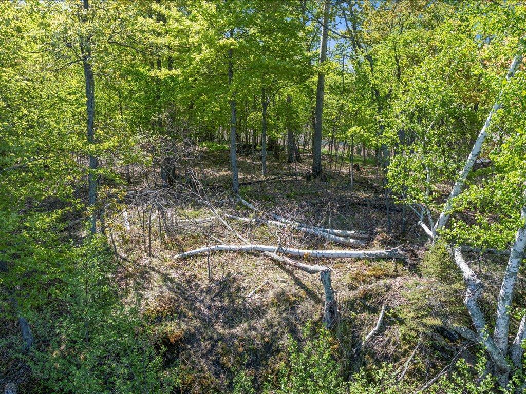 Cohasset, Minnesota, 55721, United States, ,Land,For Sale,1850344