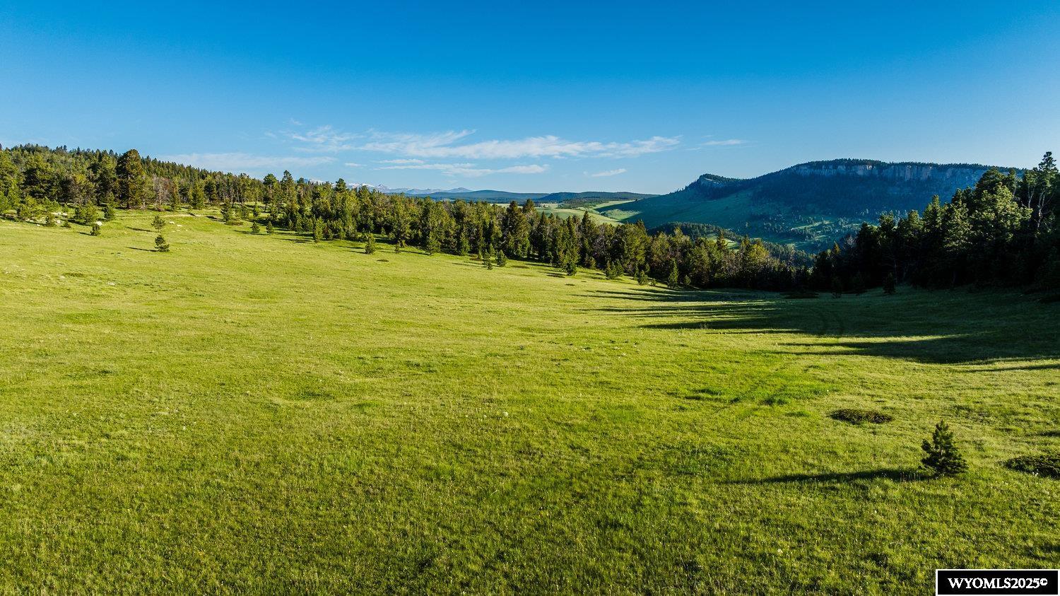 Buffalo, Wyoming, 82834, United States, ,Land,For Sale,1778348