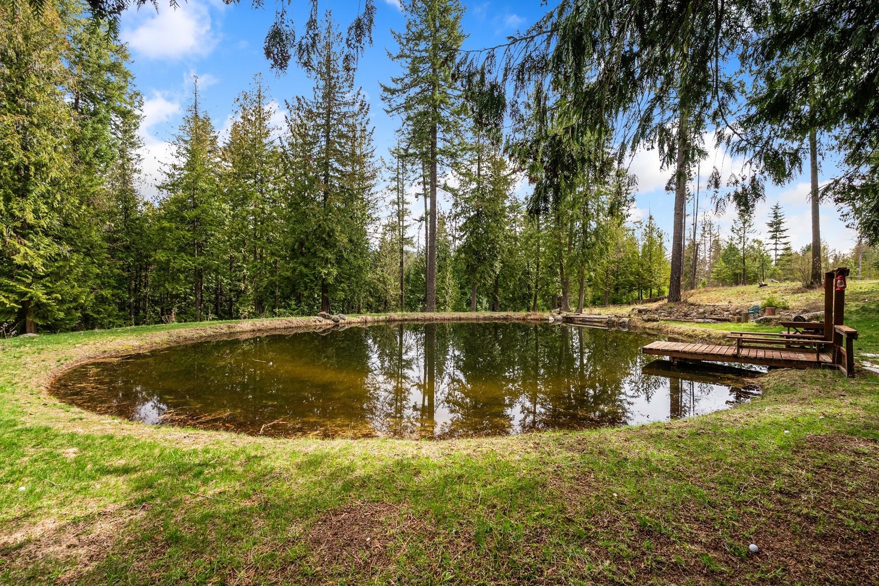  Tree Farm & Home on 6+ Acres - 物件實景