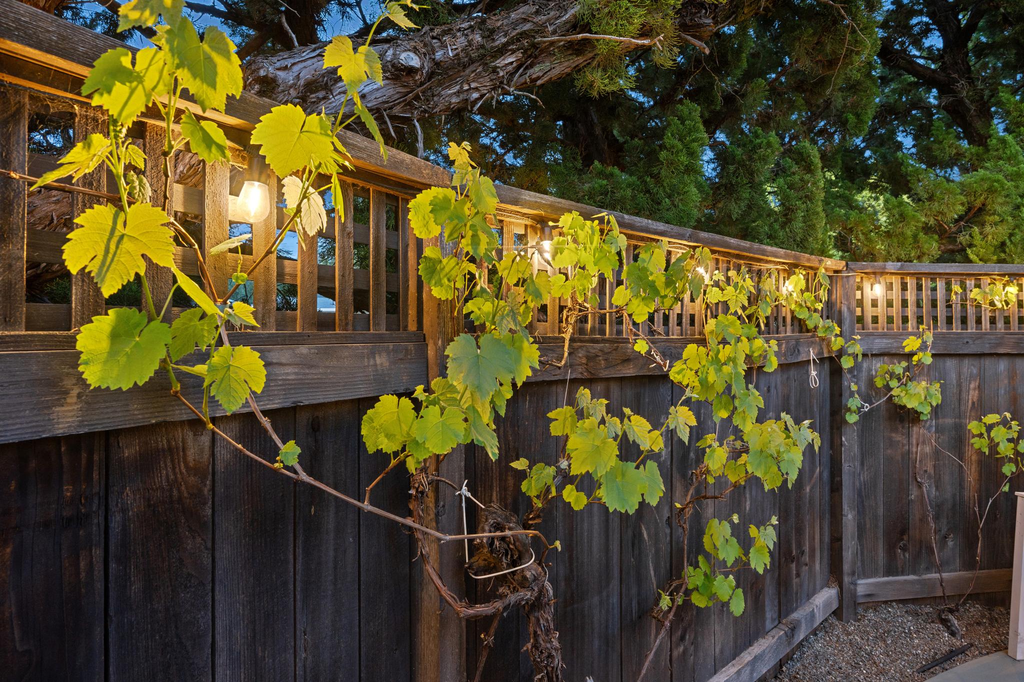  543 Avenue Del Oro - 物件實景