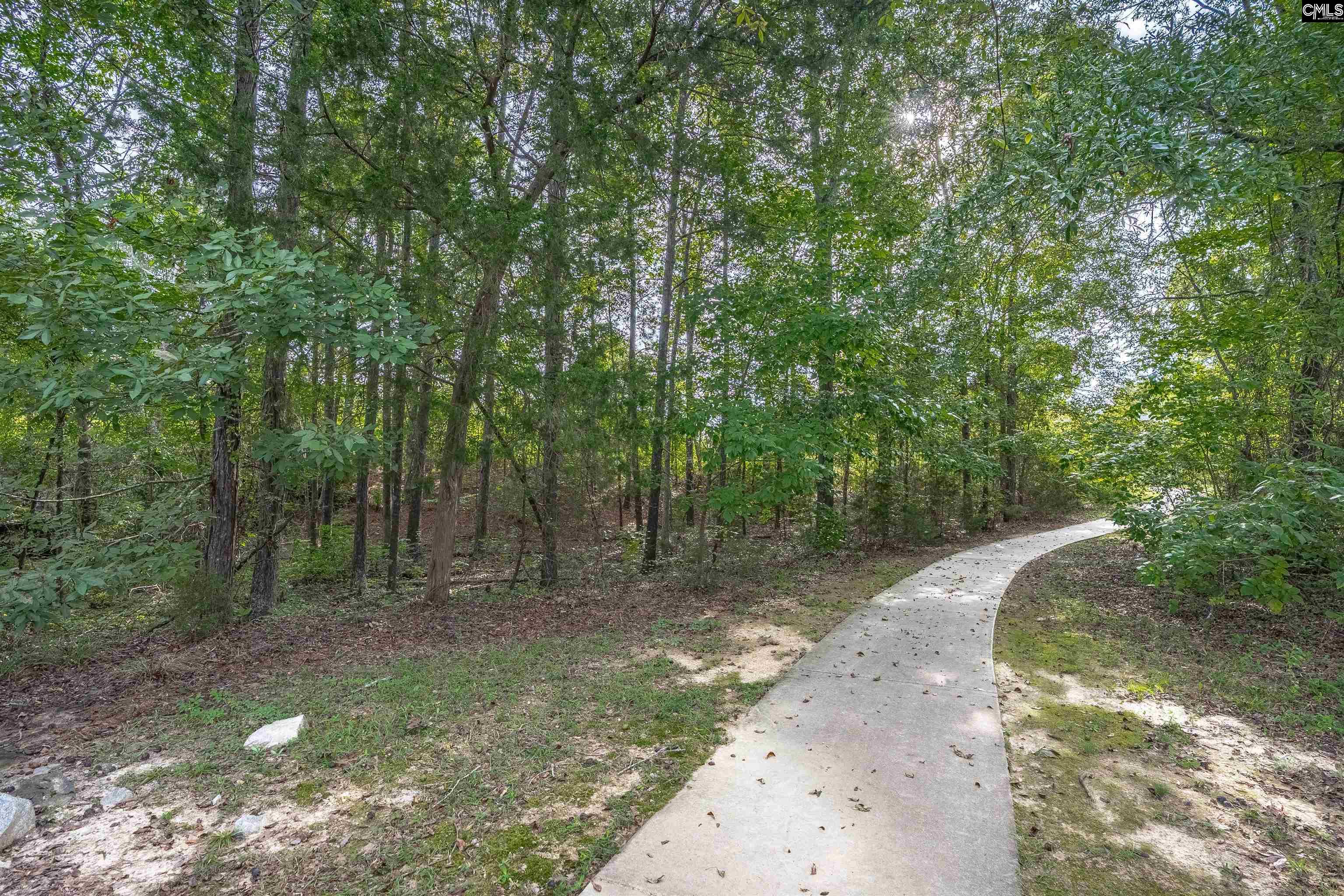 Chapin, South Carolina, 29036, United States, 5 Bedrooms Bedrooms, ,3 BathroomsBathrooms,Residential,For Sale,1934292