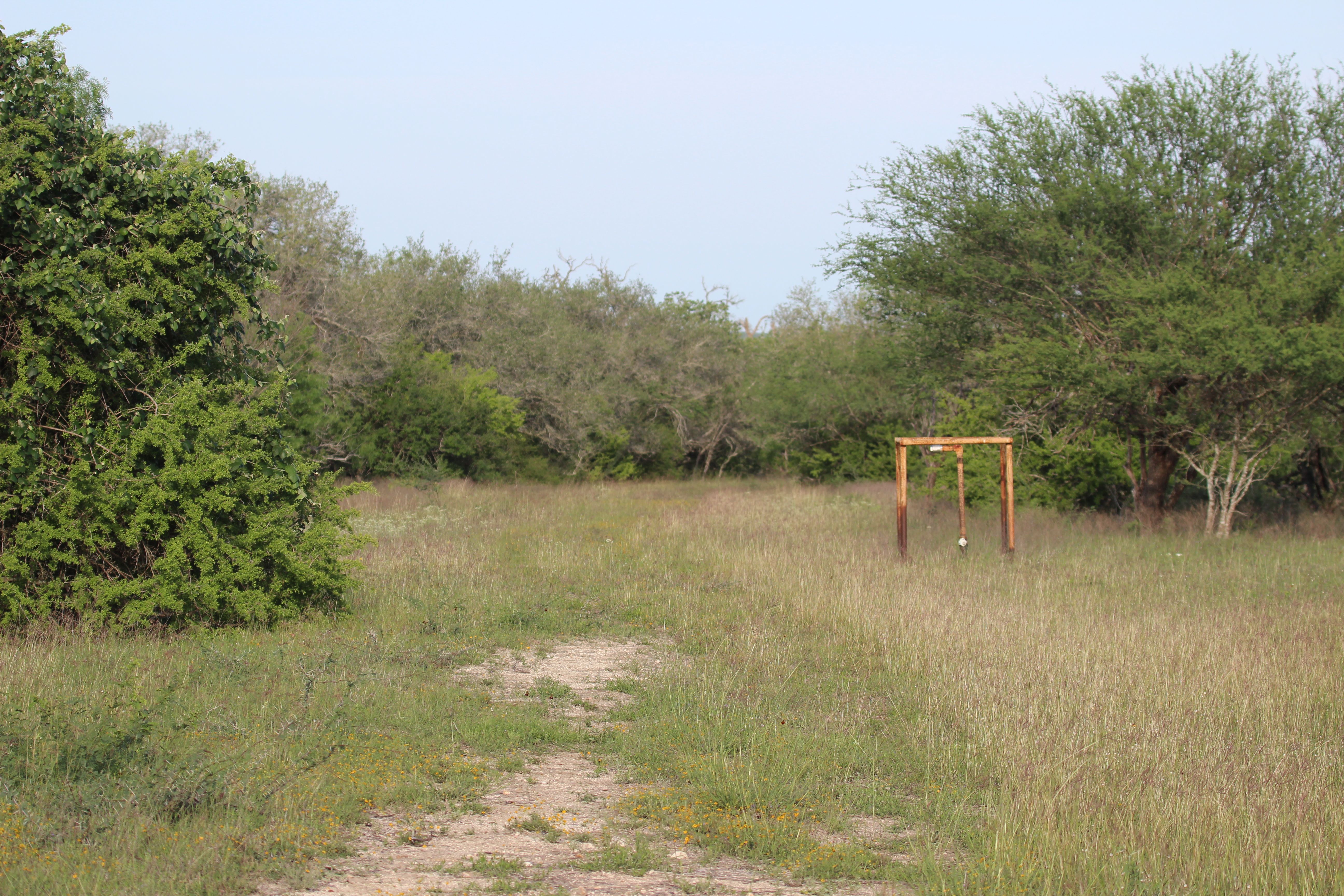  810+/- Acre Cabeza Creek Ranch - 物件實景