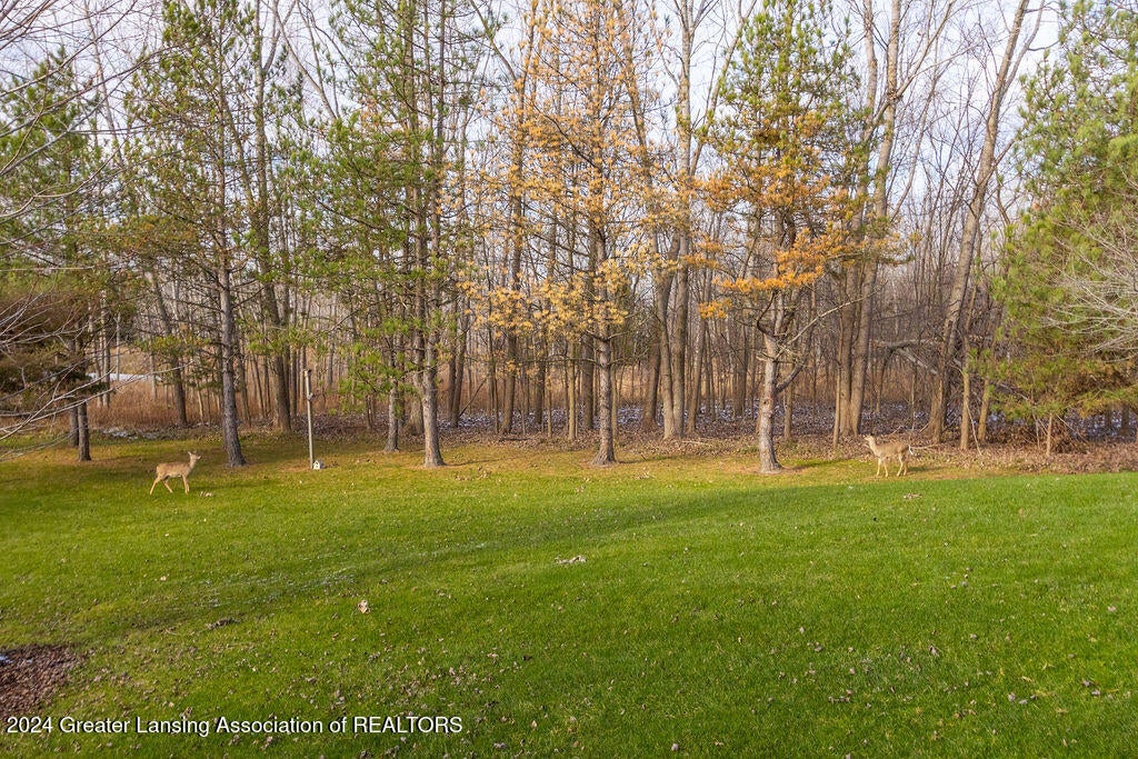 109 Daggertail Lane, Okemos, Michigan, 48864, United States, 4 Bedrooms Bedrooms, ,Residential,For Sale,109 Daggertail Lane,1668513